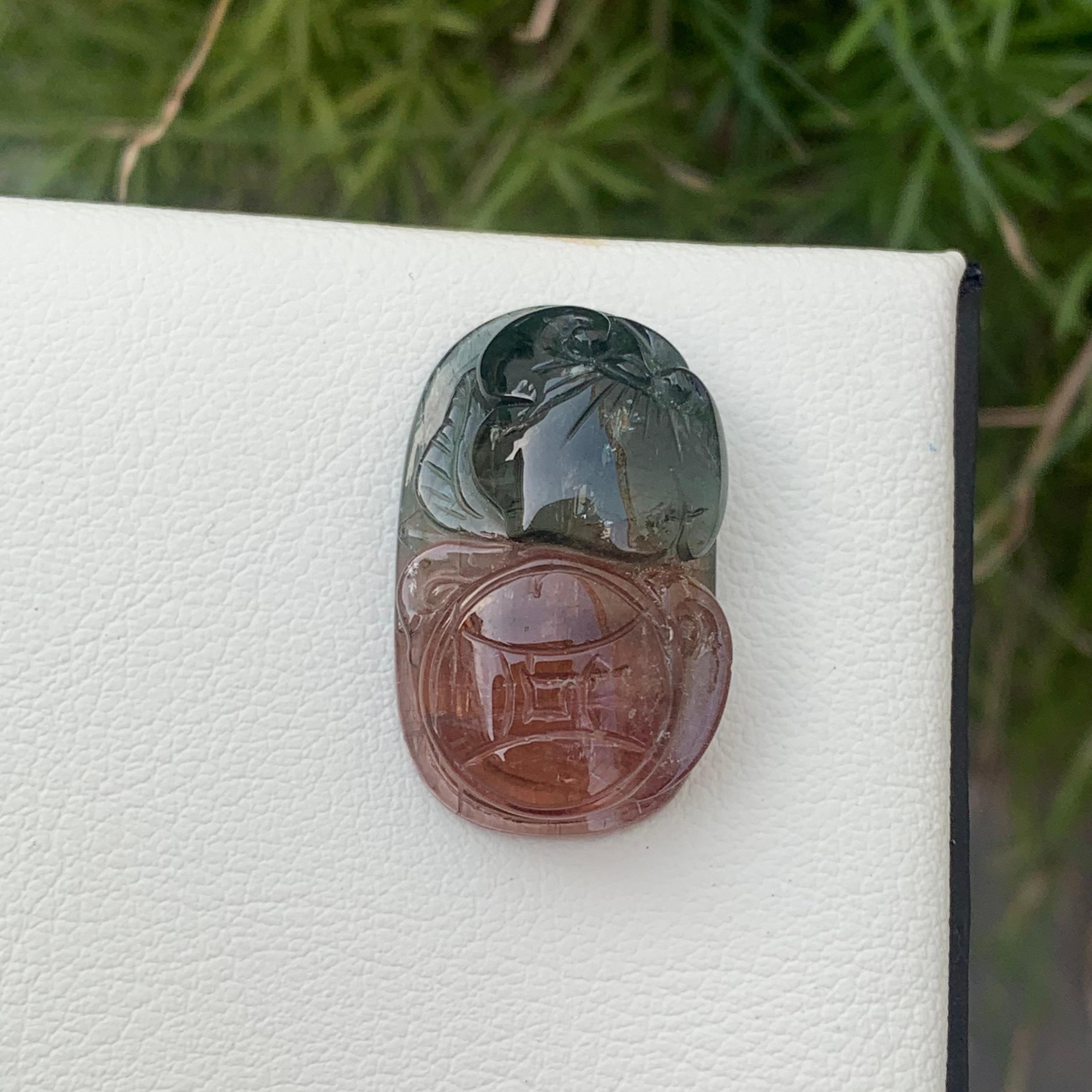 18th Century and Earlier 42.00 Carat Unique Bi Color Tourmaline Carving from Madagascar Africa For Sale
