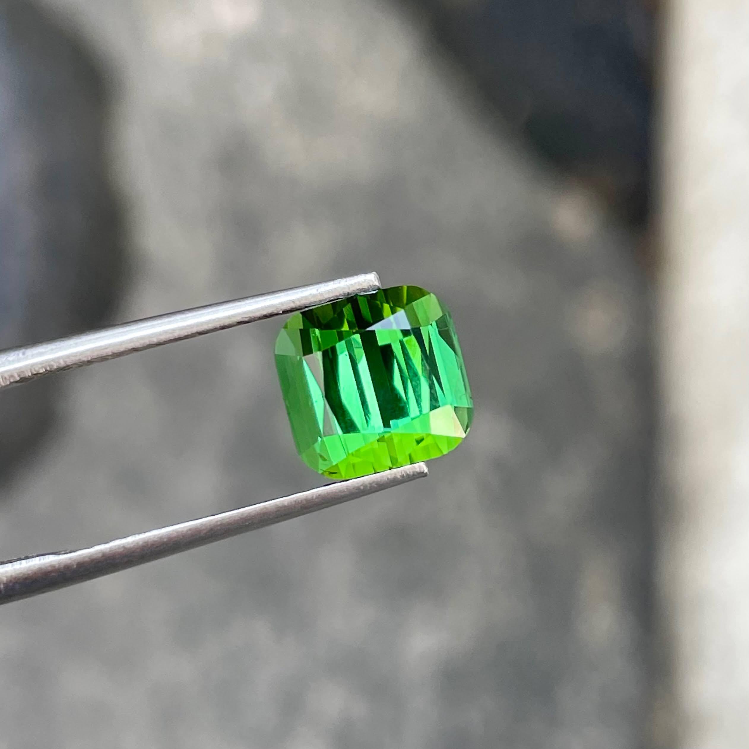 Weight 4.26 carats
Dimensions 8.2x8.5x7.8 mm
Treatment none 
Origin Afghanistan 
Clarity VVS
Shape cushion 
Cut fancy cushion 





The 4.26-carat Lustrous Bluish Green Tourmaline is an exquisite gemstone originating from Afghanistan, renowned for