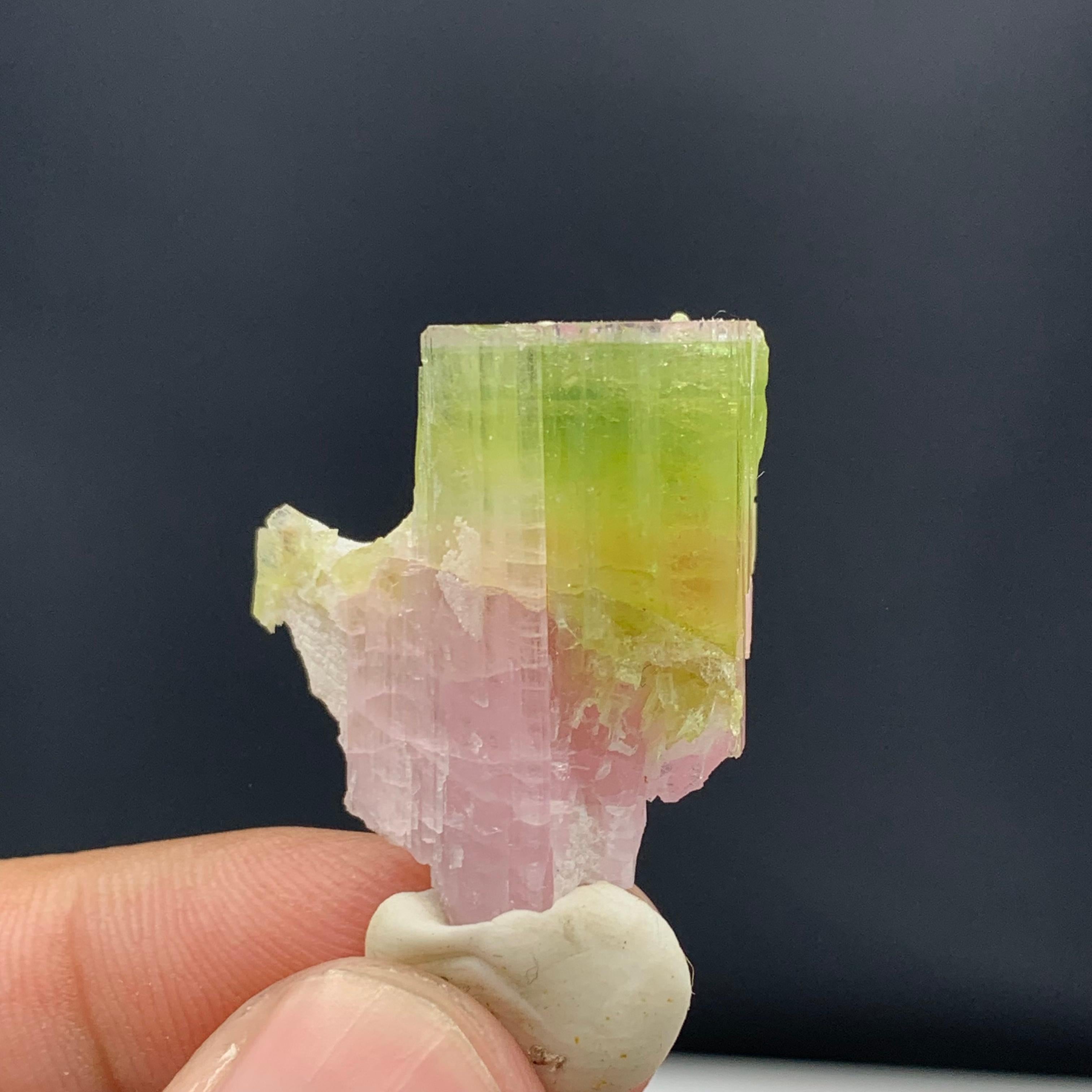 42.65 Carat Gorgeous Bi Color Tourmaline Specimen From Afghanistan 
Weight: 42.65 Carat 
Dimension: 2.7 x2.2 x 1.5 cm
Origin: Afghanistan 

Tourmaline is a crystalline silicate mineral group in which boron is compounded with elements such as