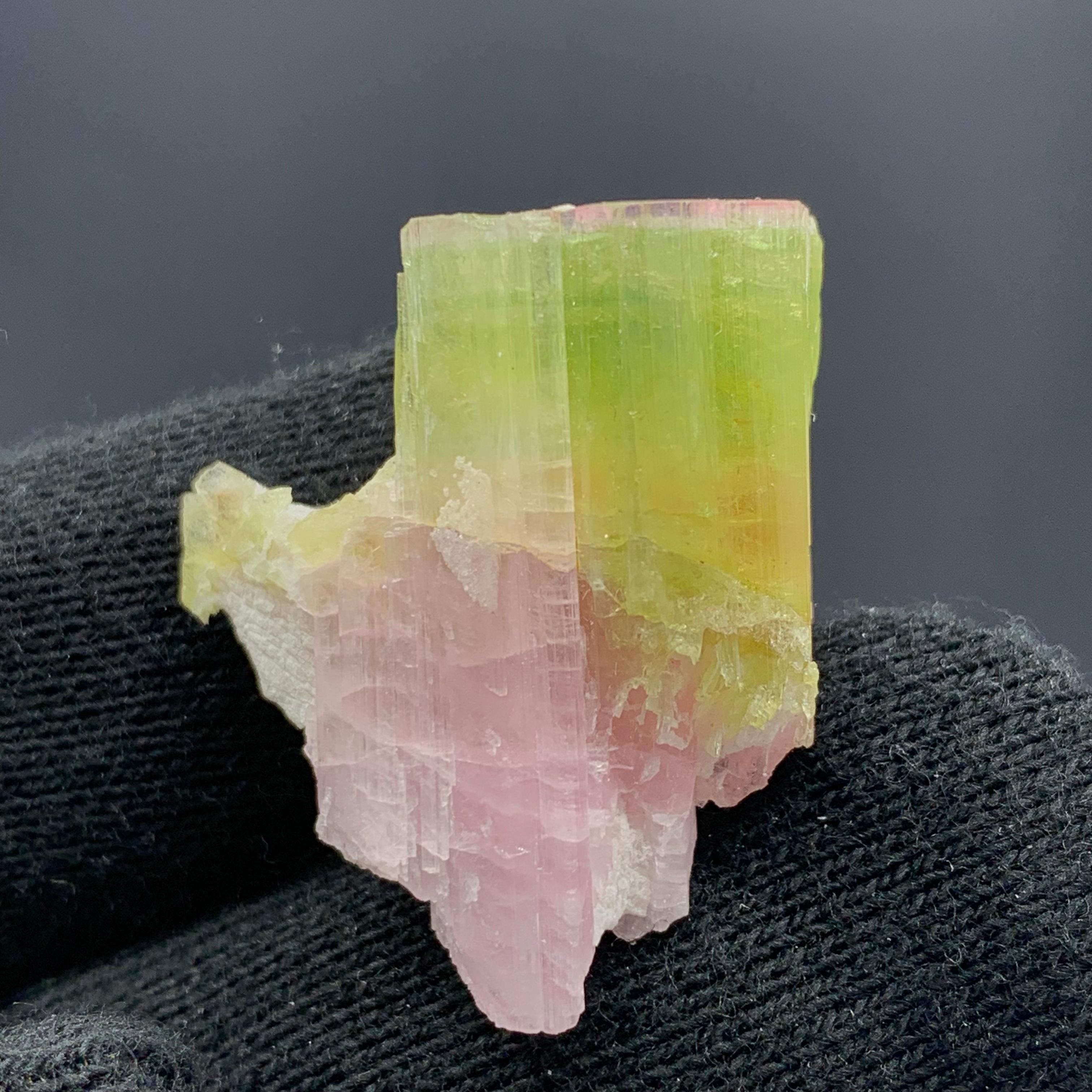 42.65 Carat Gorgeous Bi Color Tourmaline Specimen From Afghanistan  In Good Condition For Sale In Peshawar, PK