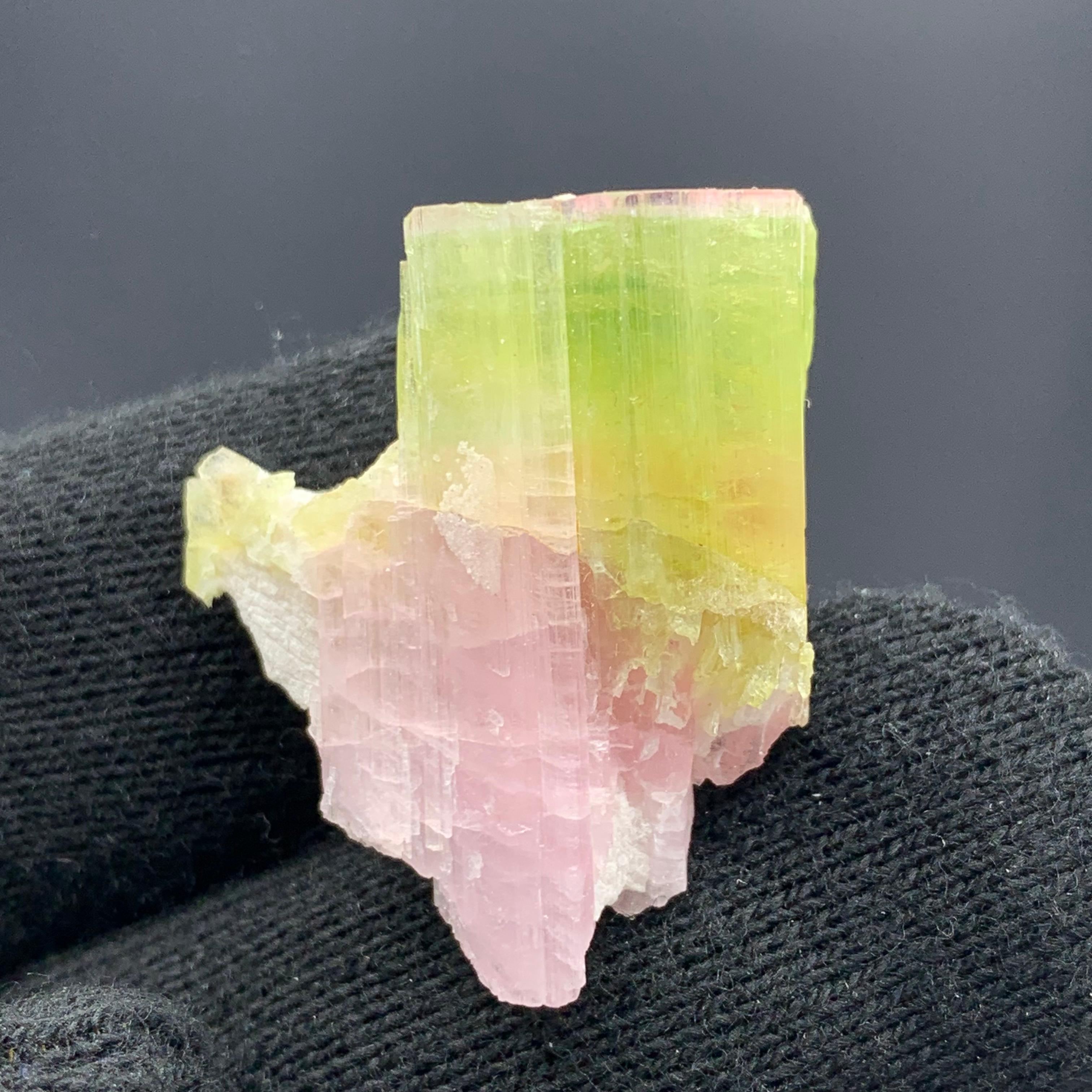 18th Century and Earlier 42.65 Carat Gorgeous Bi Color Tourmaline Specimen From Afghanistan  For Sale