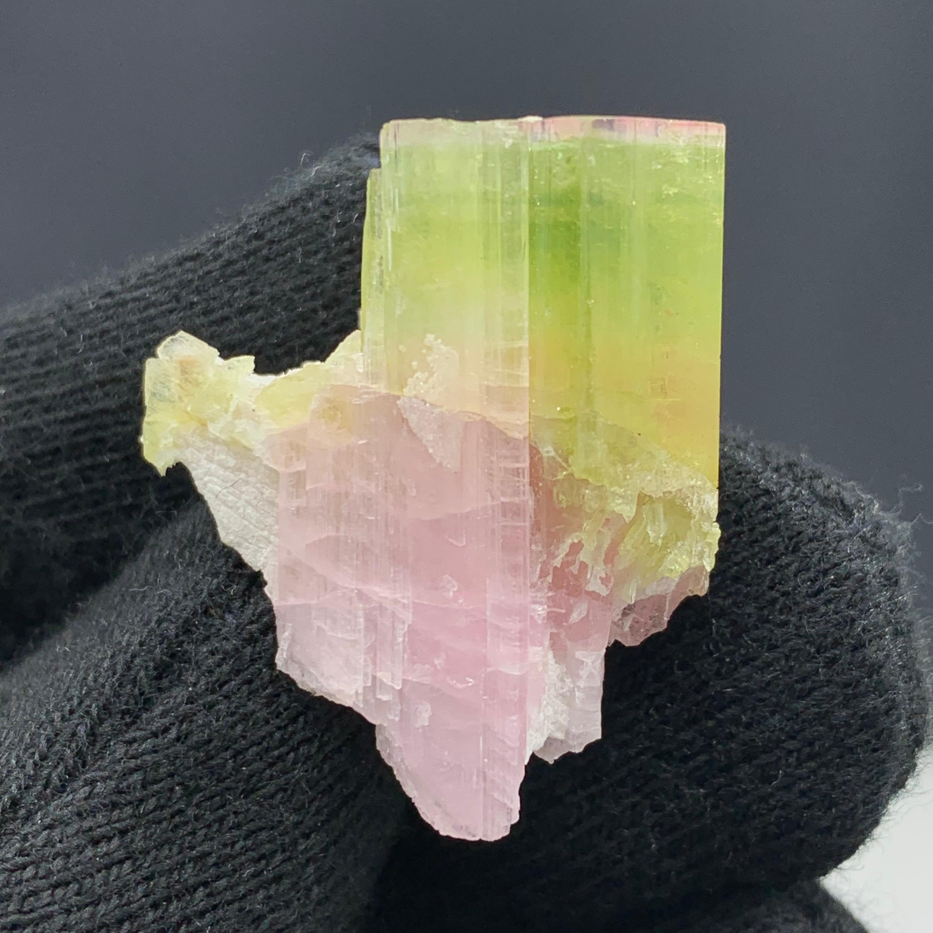 Rock Crystal 42.65 Carat Gorgeous Bi Color Tourmaline Specimen From Afghanistan  For Sale