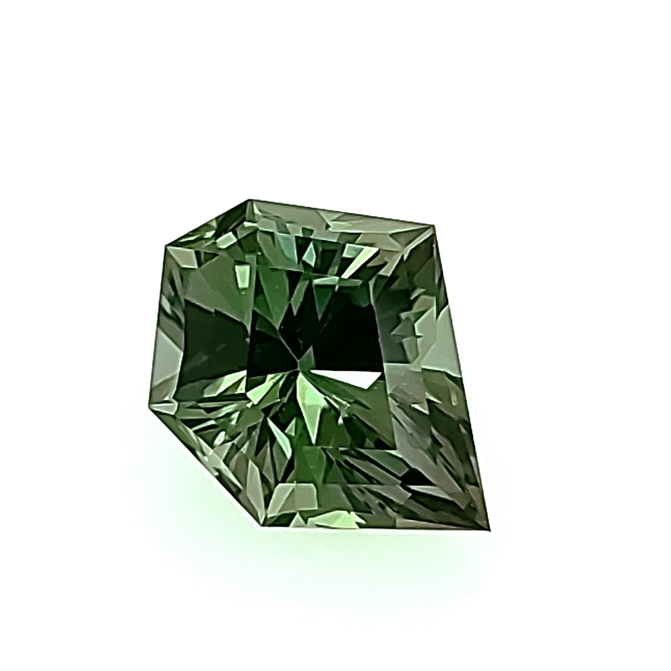 Freiformiger grüner Zoisite von 4,27 Karat (sames Mineral wie Tansanit!)  Einzigartiger Schnitt & Farbe! im Angebot 2