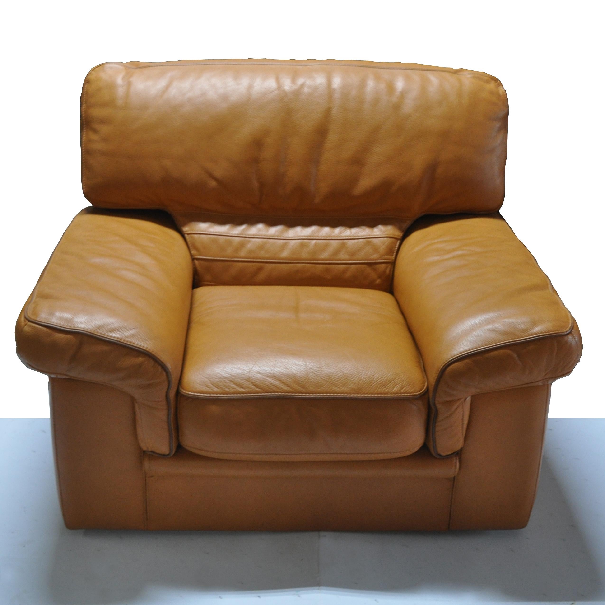 roche bobois leather chair