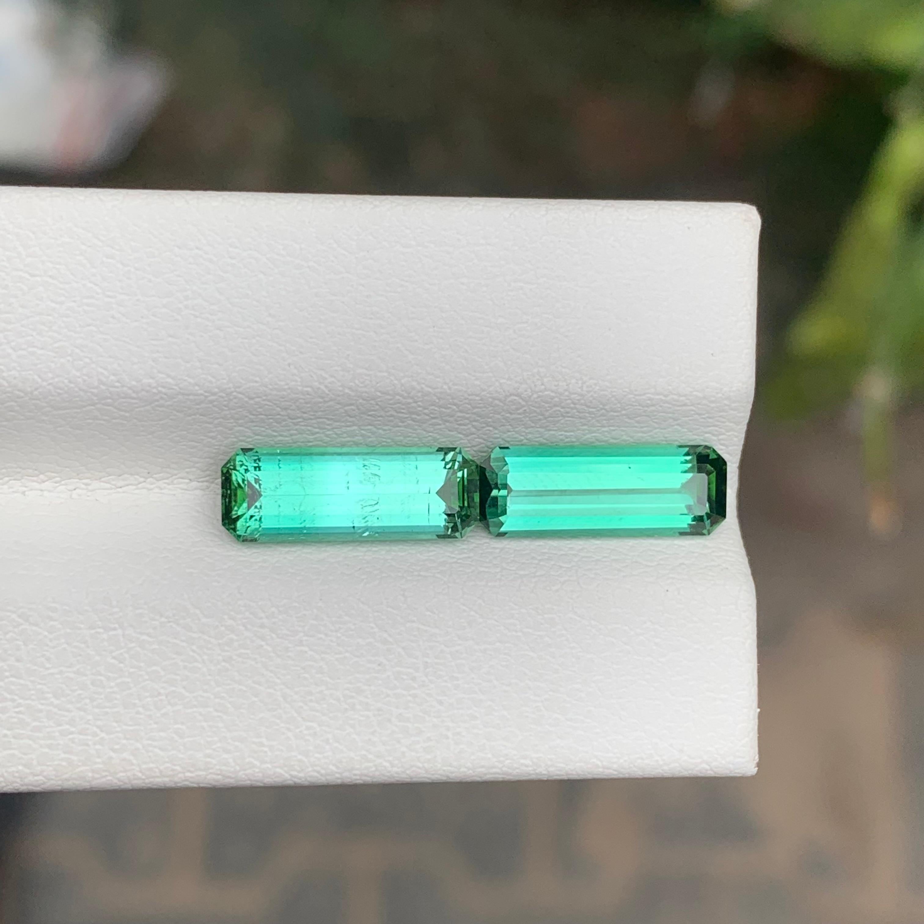 Facettierter Grüner Turmalin Paar 

Gewicht: 4,30 Karat
Abmessungen: 13 x 4,7 x 3,8 mm 
Farbe: Grün
Behandlung: Nicht
Zertifikat: Auf Kundenwunsch
Die Form: Smaragd 


Der Turmalin ist ein faszinierender Edelstein, der für seine bemerkenswerte
