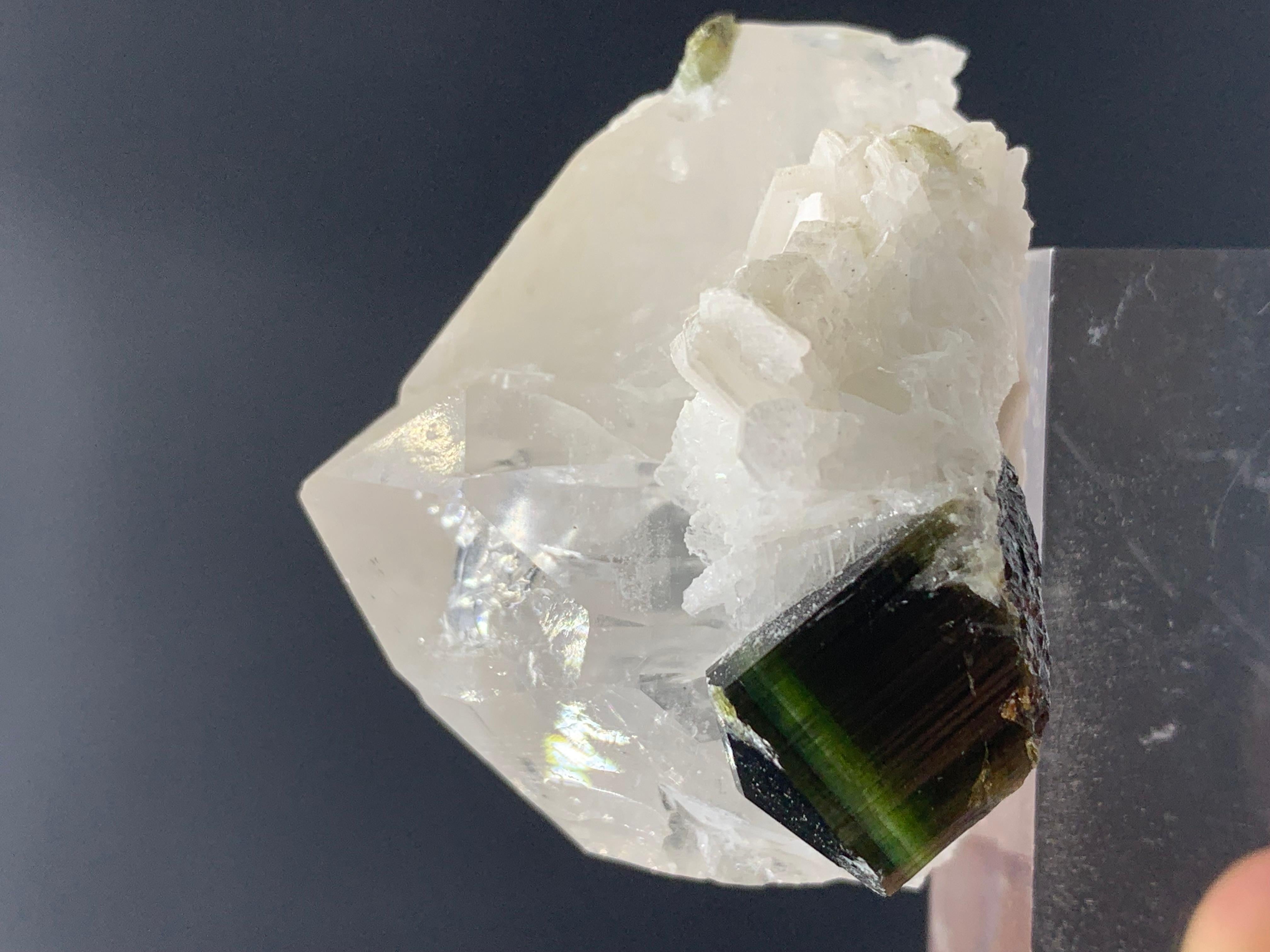 43.07 Gram Elegant Bi Color Tourmaline Specimen With Quartz From skardu Pakistan
Weight: 43.07 Gram
Dimension: 3.4 x 4.2 x 3.5 Cm
Origin: Skardu Valley, Pakistan 

Tourmaline is a crystalline silicate mineral group in which boron is compounded with