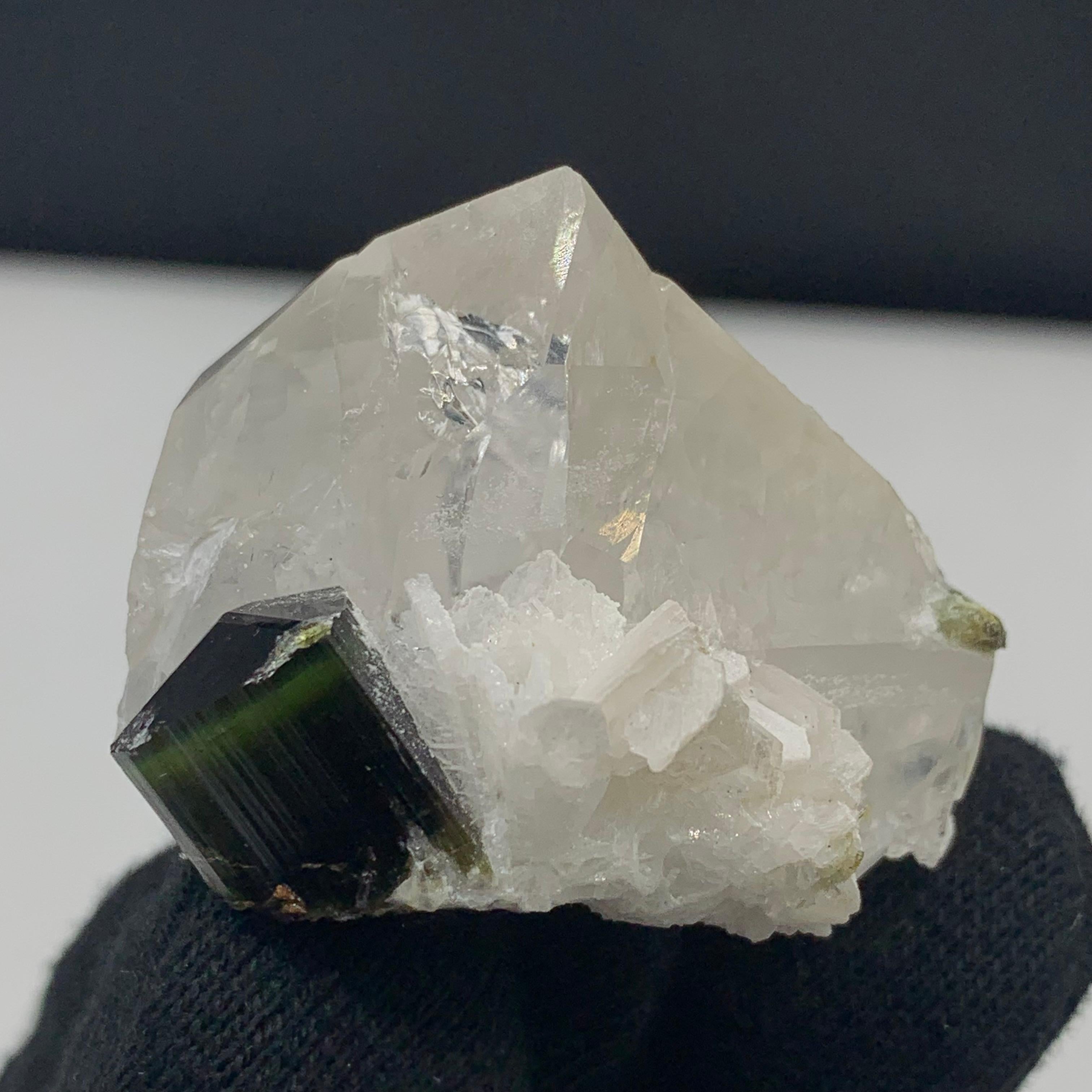 43,07 Grammi Elegante Specimen di tormalina bicolore con quarzo da skardu Pakistan in vendita 20