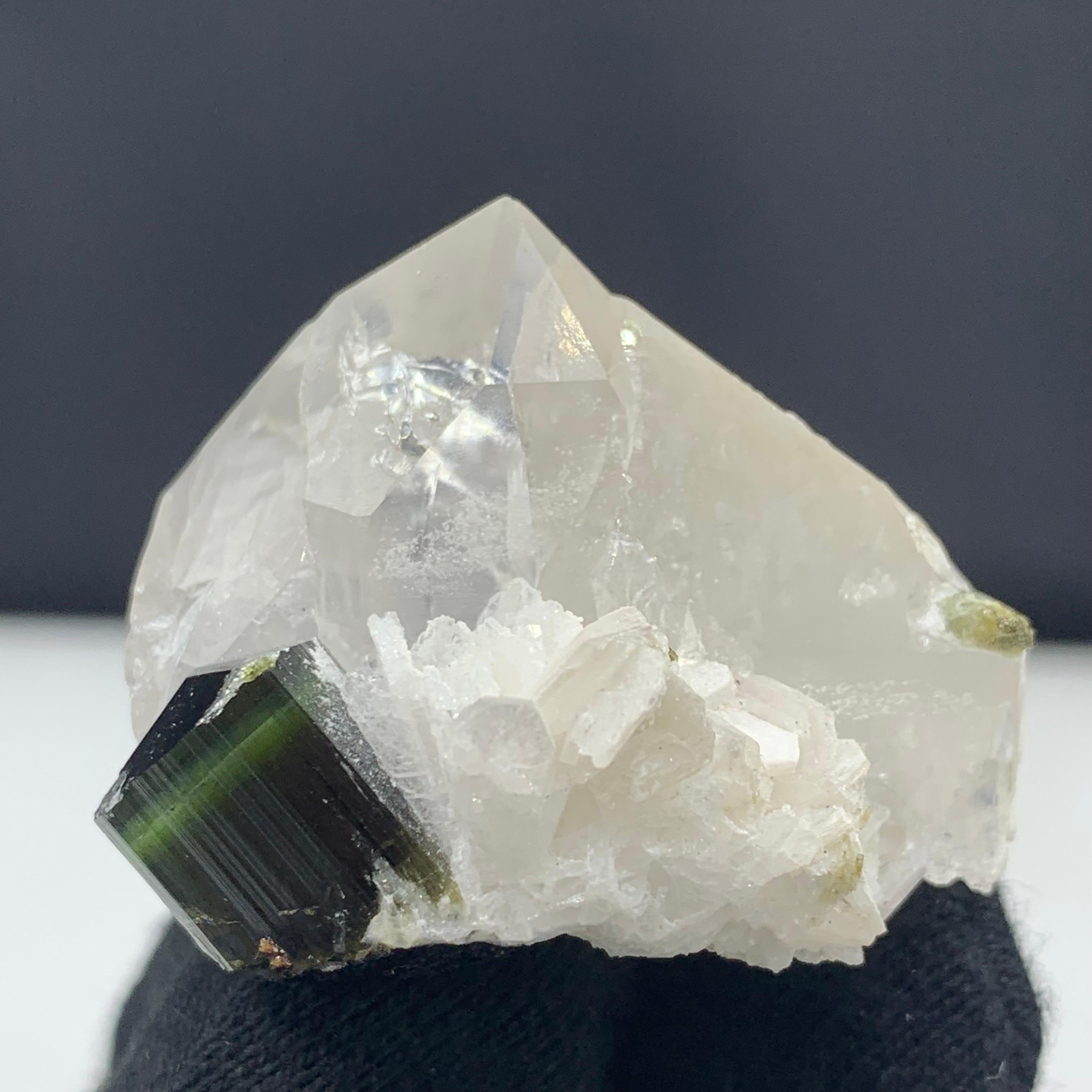 43,07 Grammi Elegante Specimen di tormalina bicolore con quarzo da skardu Pakistan in vendita 23