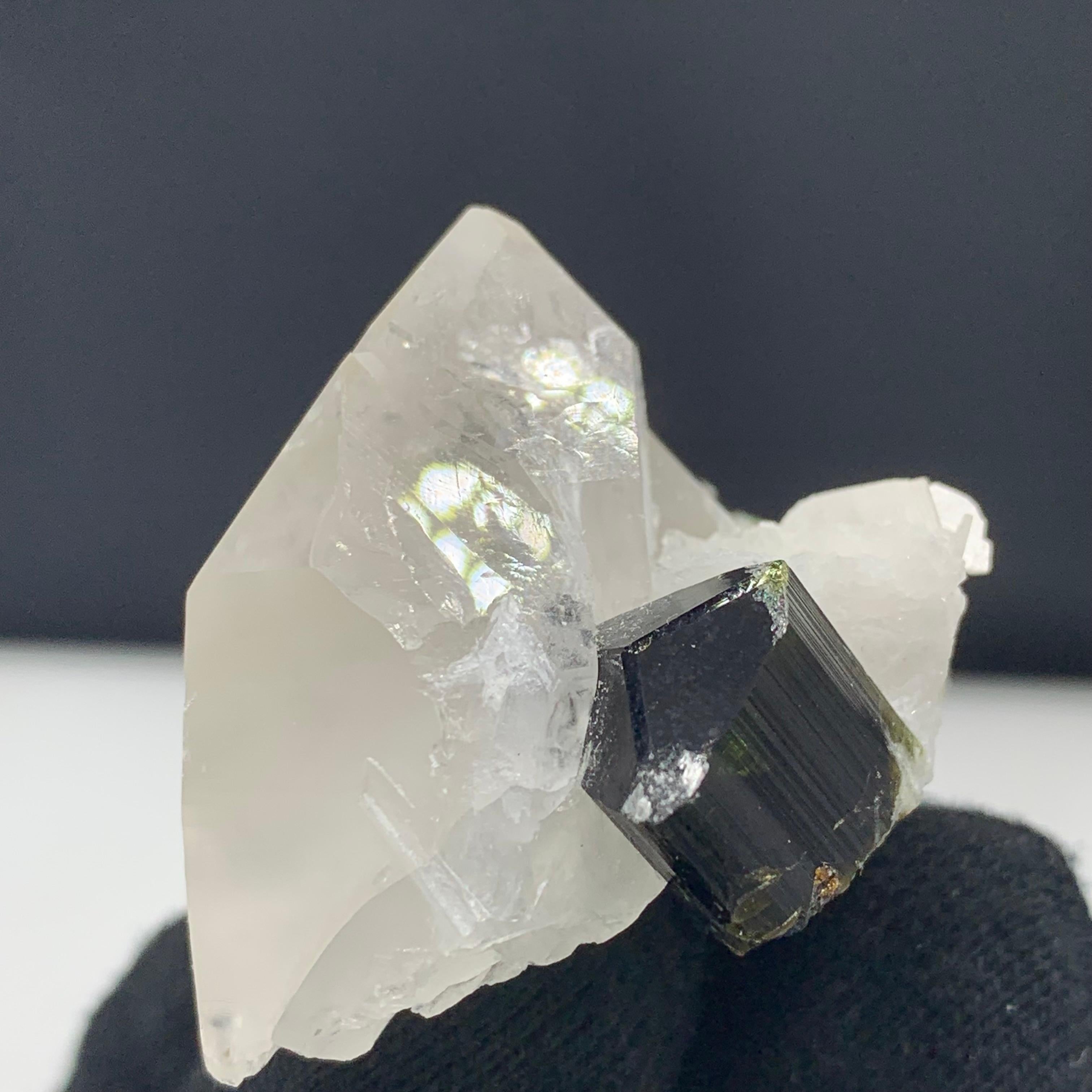 Cristallo di rocca 43,07 Grammi Elegante Specimen di tormalina bicolore con quarzo da skardu Pakistan in vendita