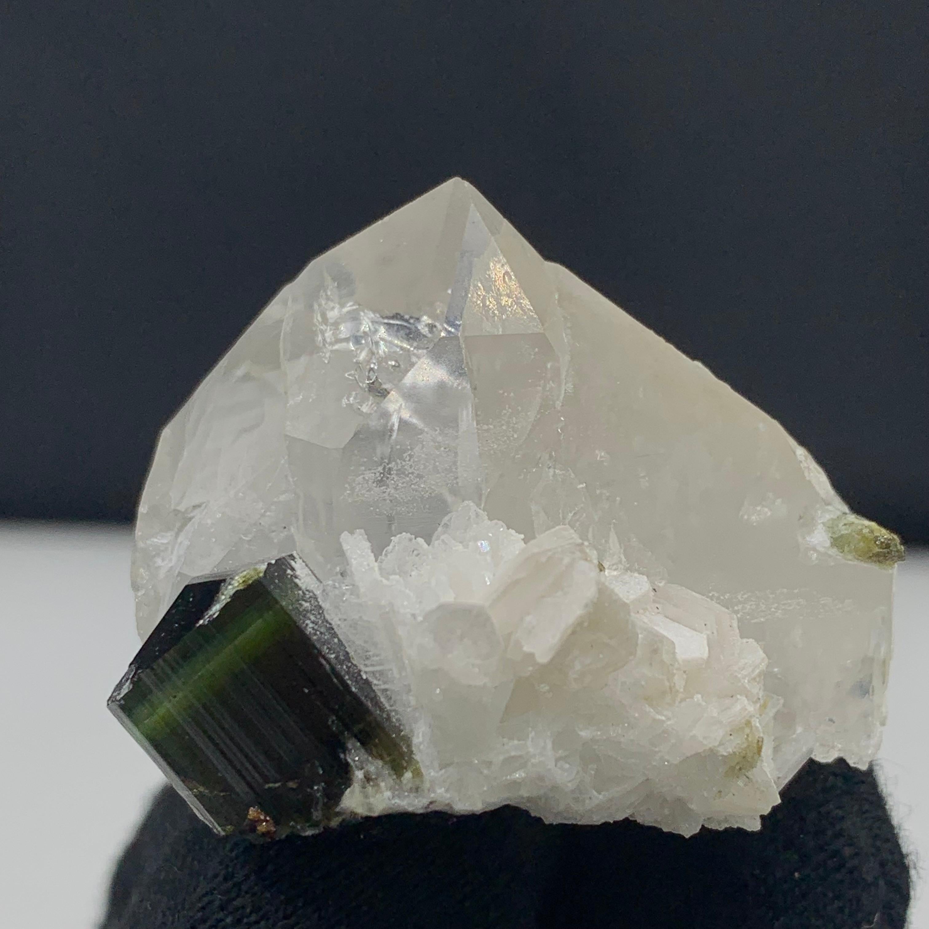 43,07 Grammi Elegante Specimen di tormalina bicolore con quarzo da skardu Pakistan in vendita 1