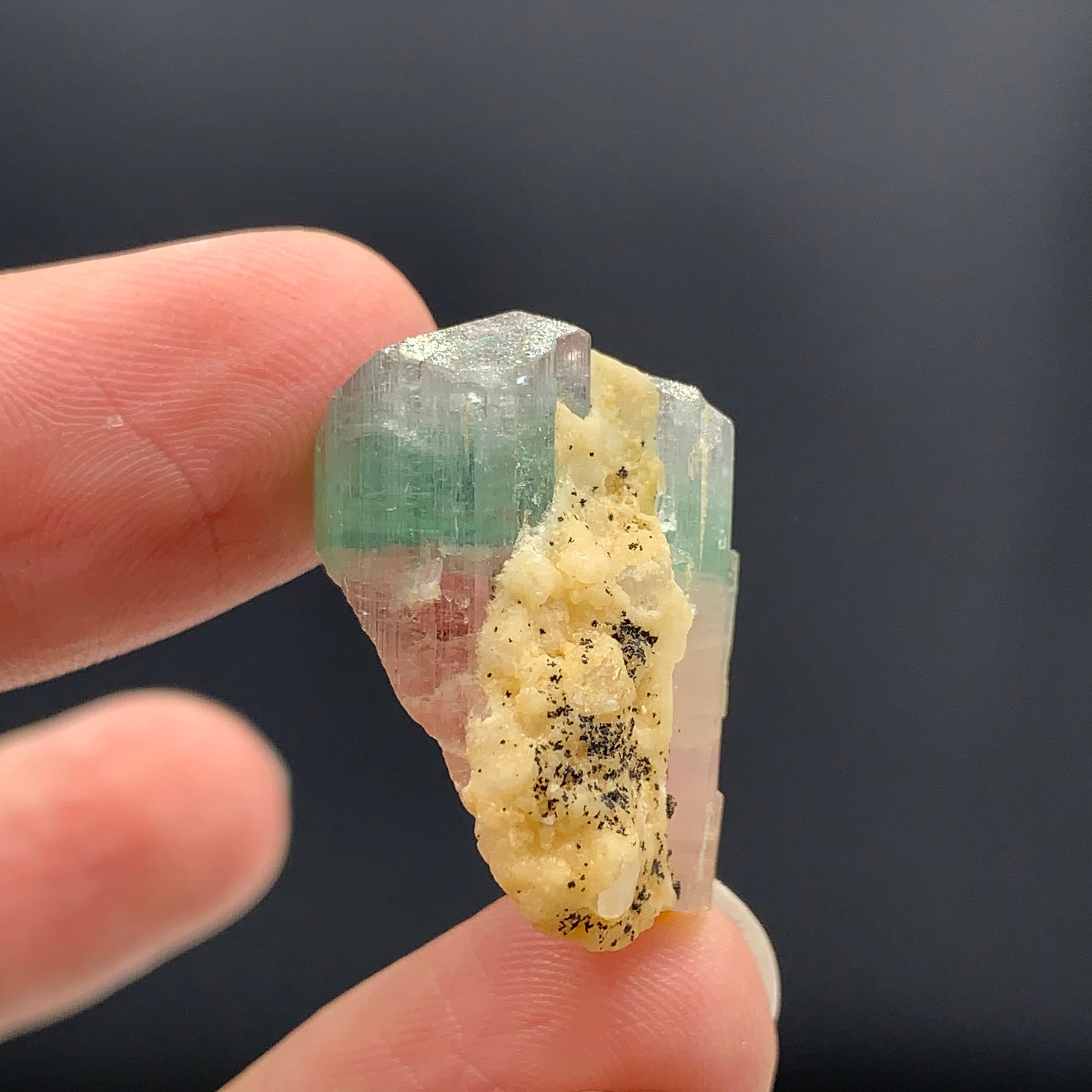 43,15 carati, affascinante esemplare di tormalina bicolore dall'Afghanistan in vendita 3