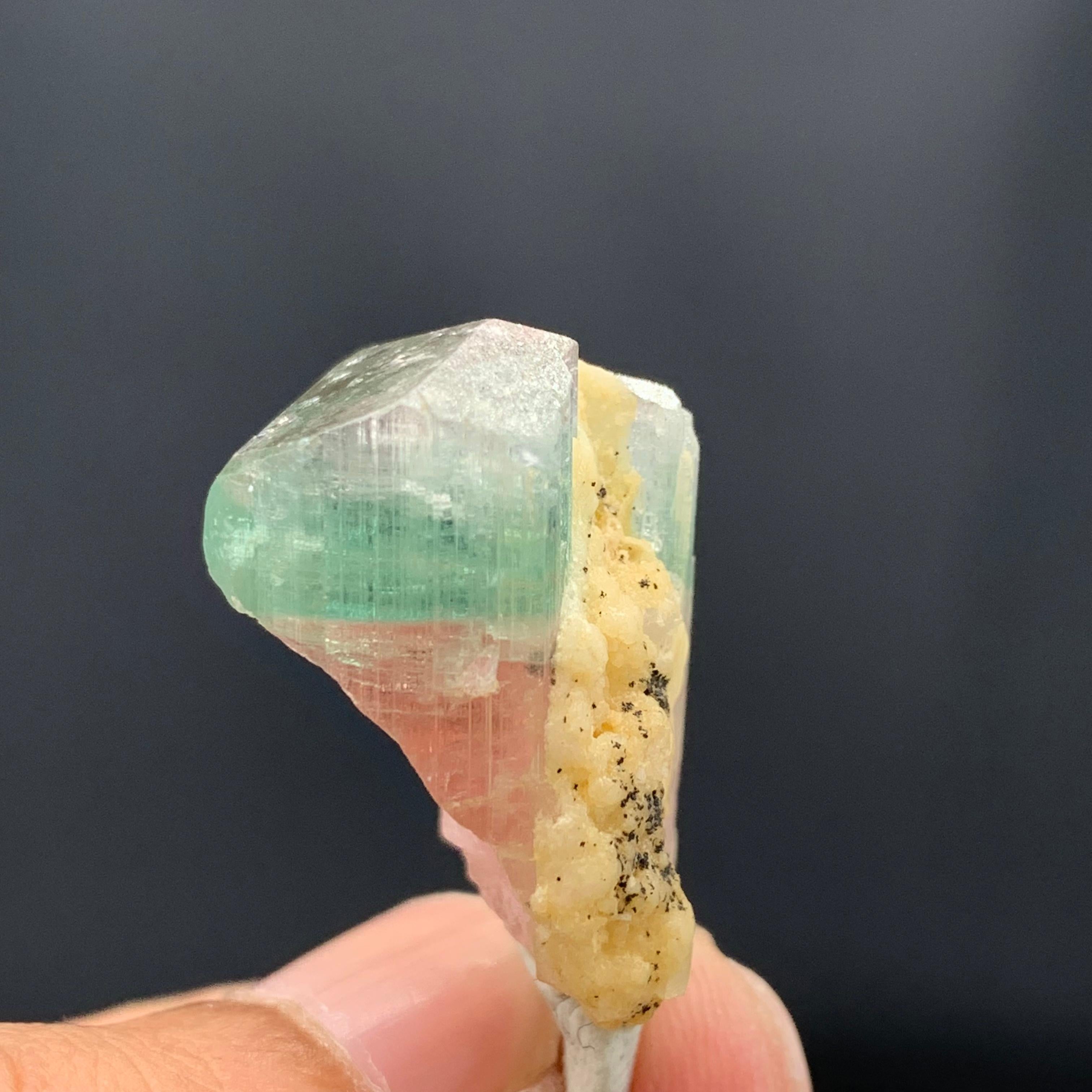 43,15 carati, affascinante esemplare di tormalina bicolore dall'Afghanistan in vendita 9
