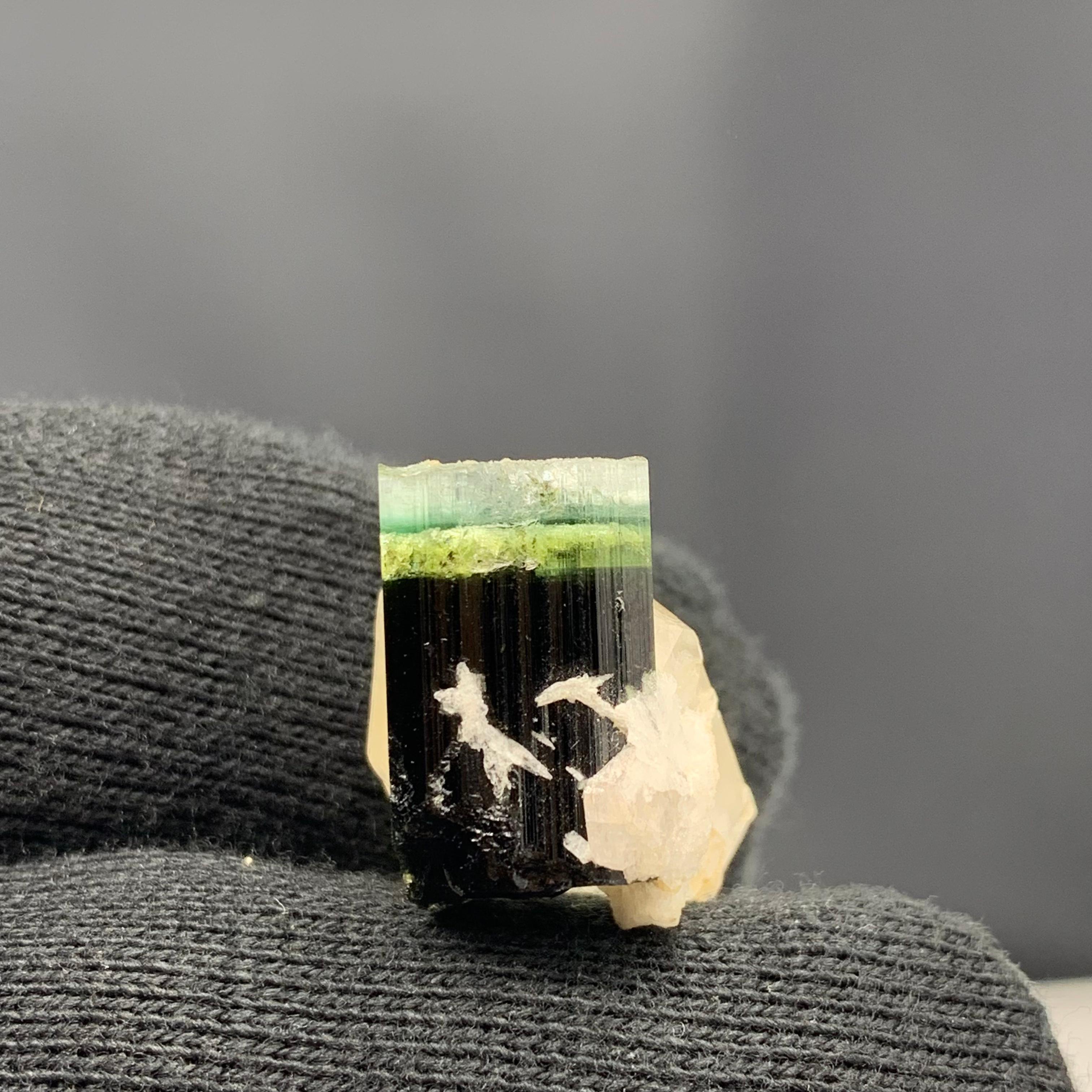 43.15 Cts Beautiful Tri Color Tourmaline Specimen with Quartz From Afghanistan  For Sale 3