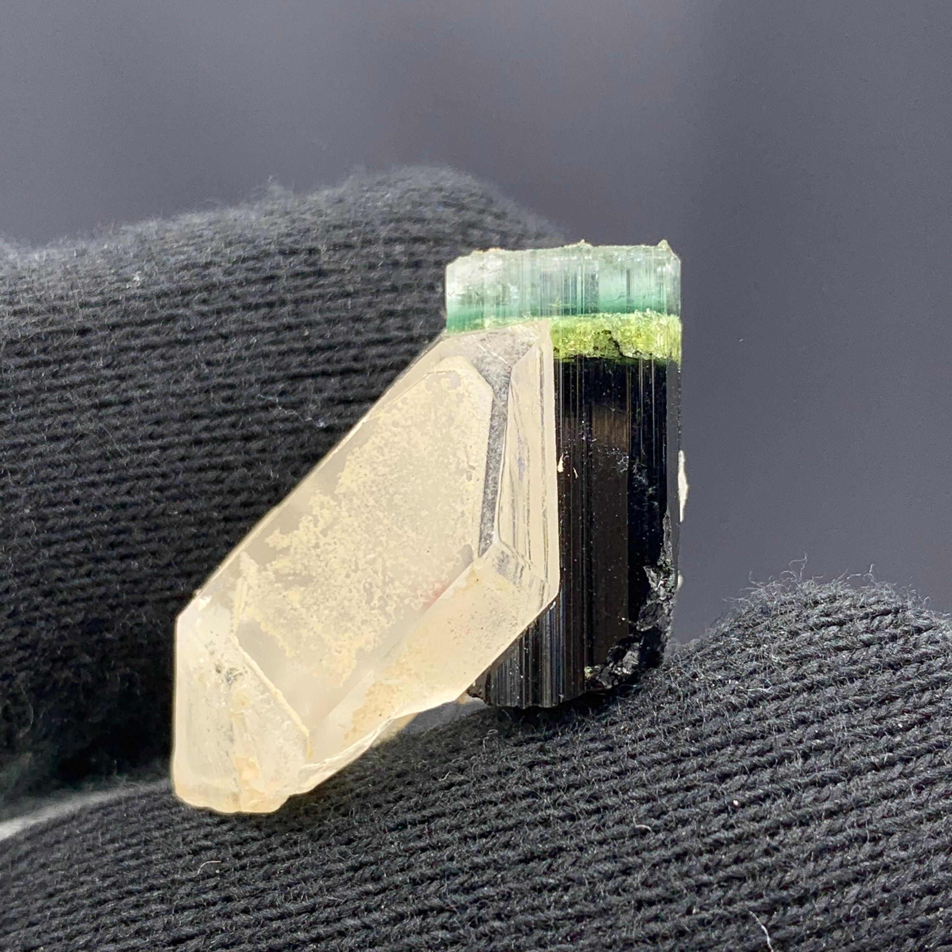 43.15 Cts Beautiful Tri Color Tourmaline Specimen with Quartz From Afghanistan  For Sale 7