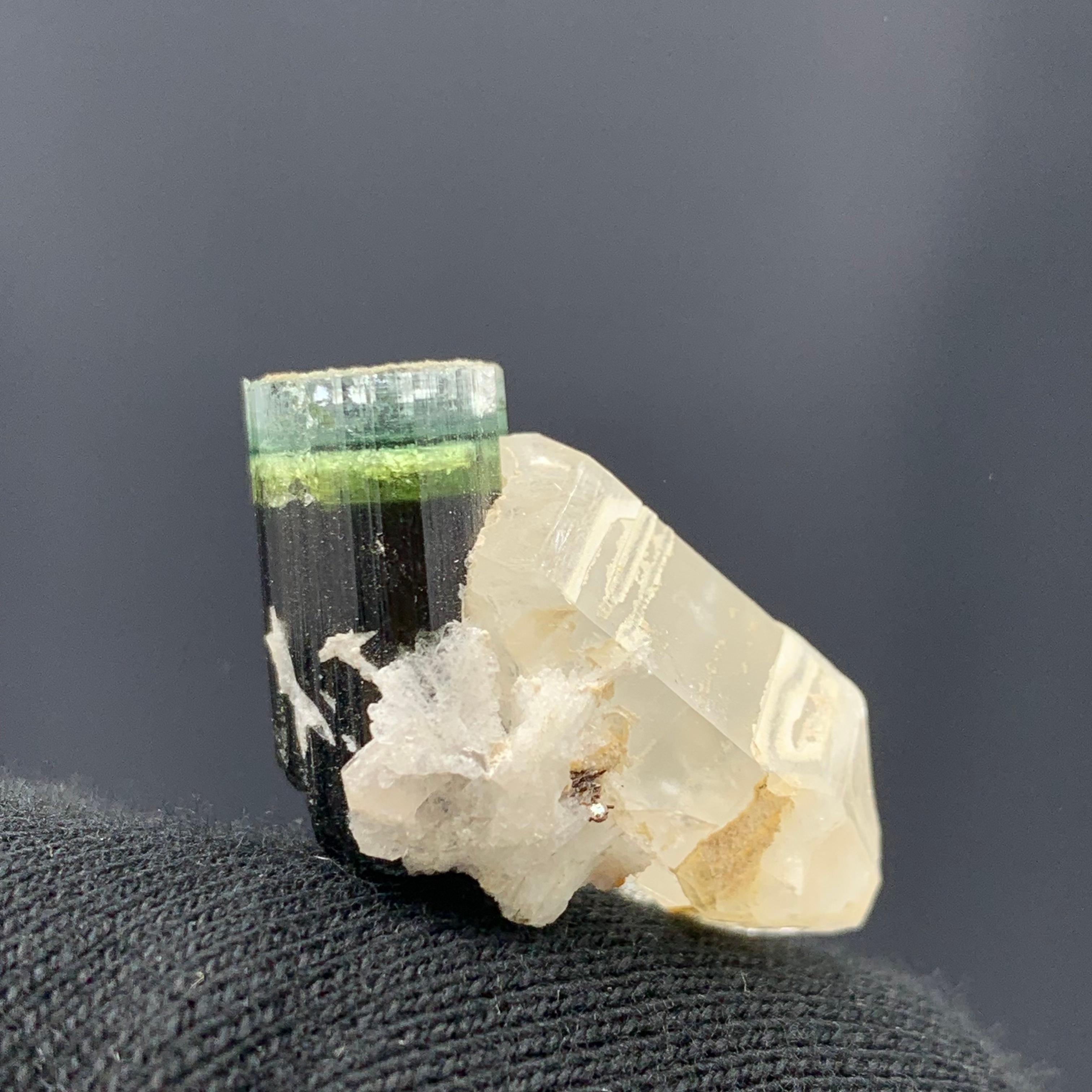 43.15 Cts Beautiful Tri Color Tourmaline Specimen with Quartz From Afghanistan  For Sale 8