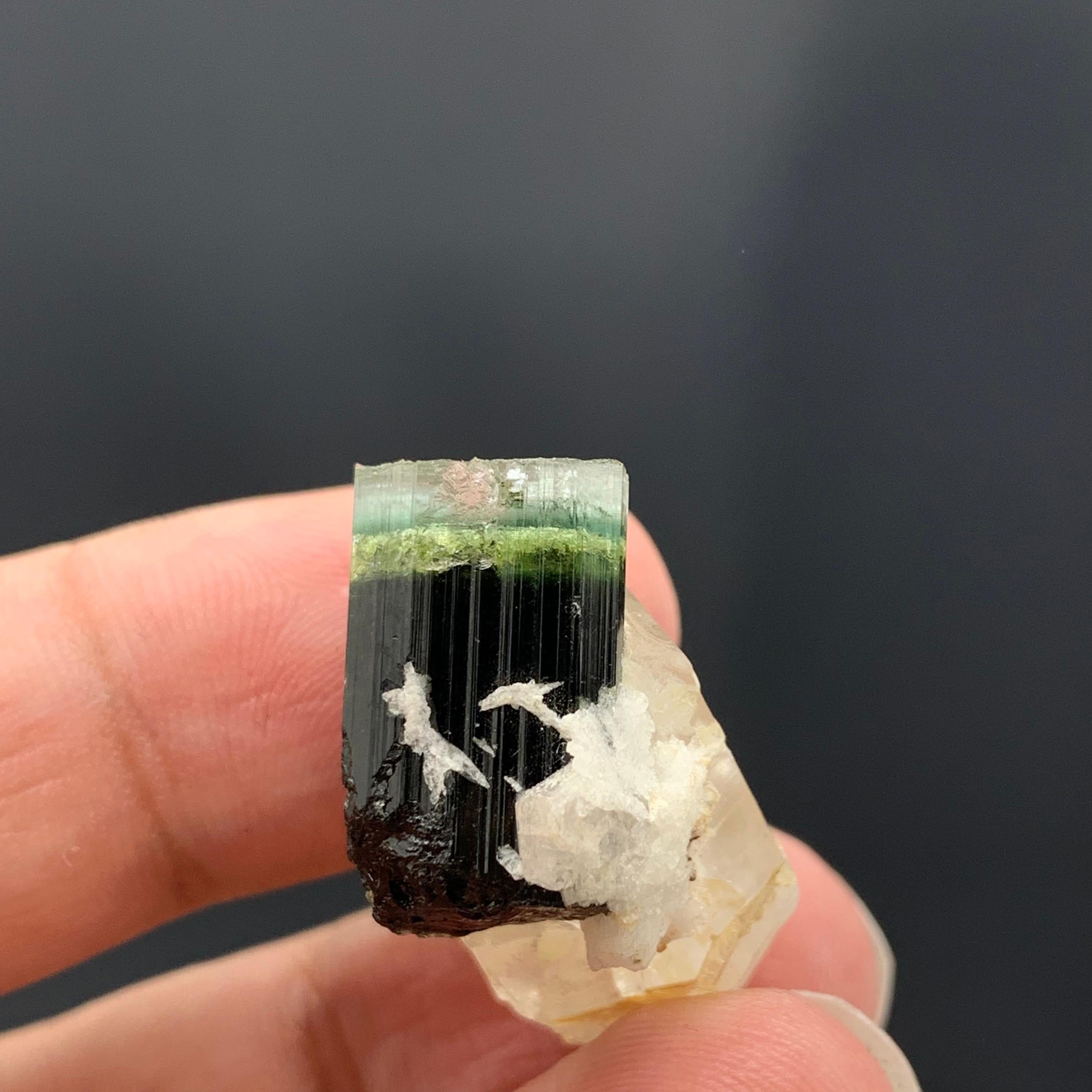 Beautiful Tri Color Tourmaline Specimen with Quartz From Afghanistan 
Weight: 43.15 Carat 
Dim: 1.9 x 2.1 x 1.5 Cm
Origin: Afghanistan 

Tourmaline is a crystalline silicate mineral group in which boron is compounded with elements such as aluminium,
