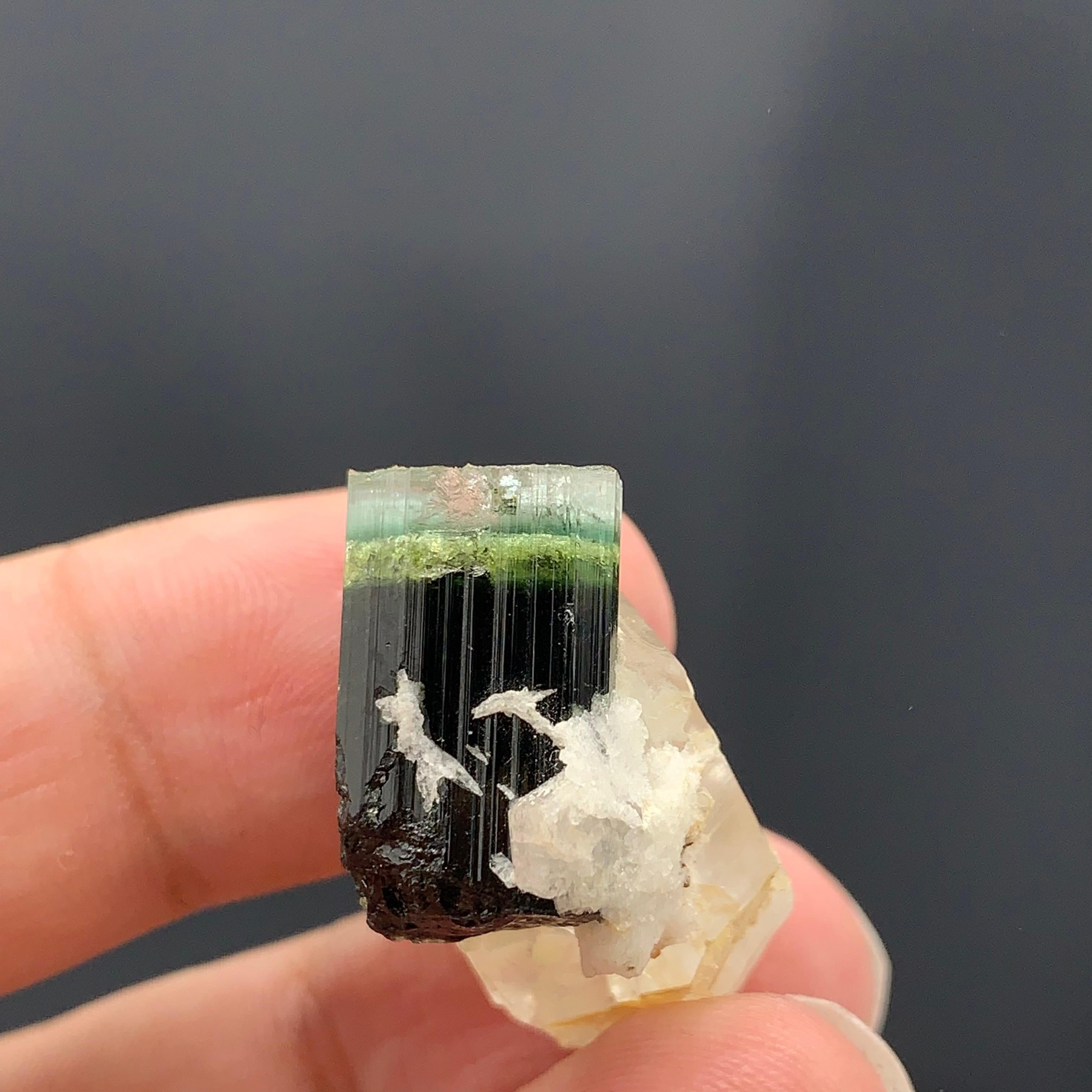 Adam Style 43.15 Cts Beautiful Tri Color Tourmaline Specimen with Quartz From Afghanistan  For Sale