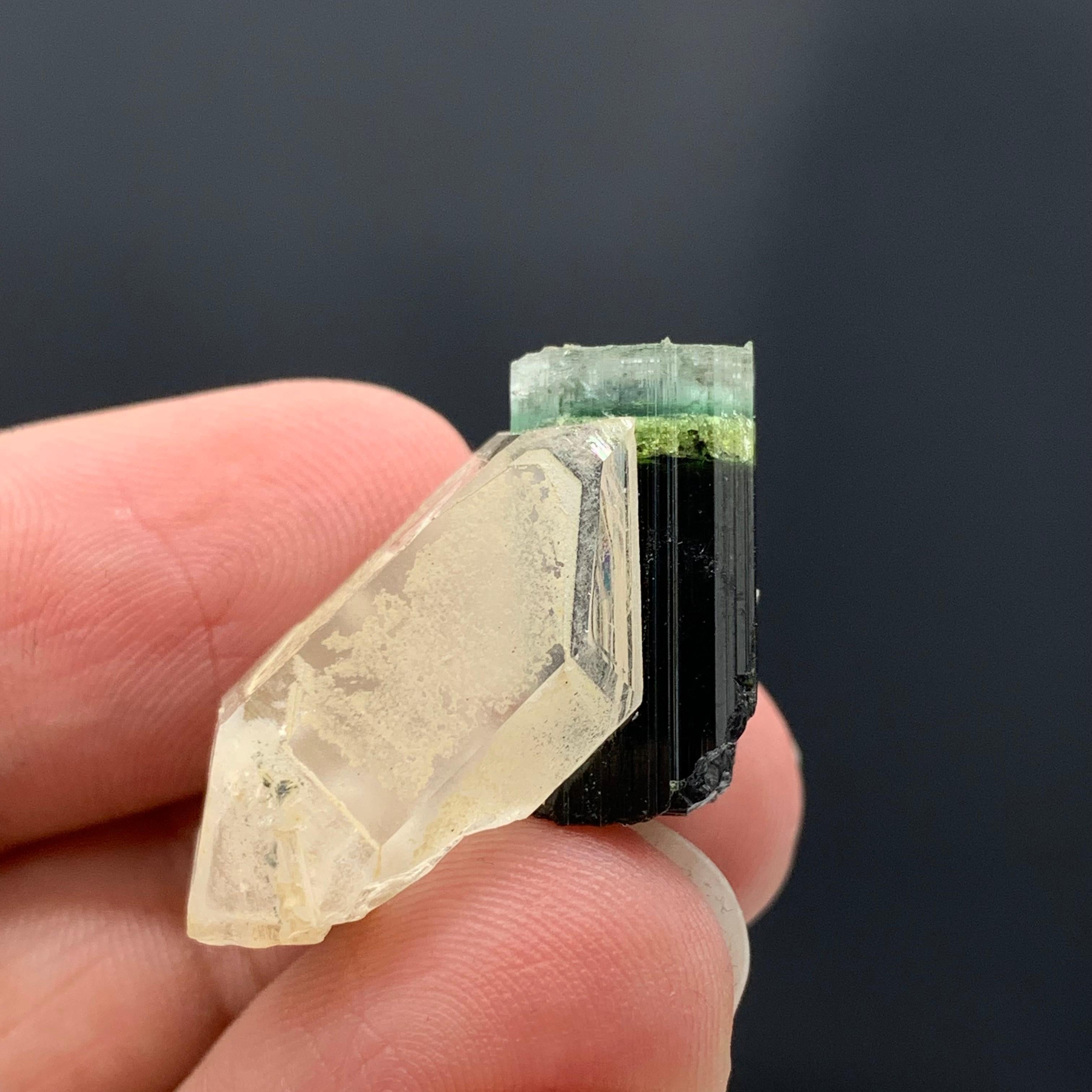 Other 43.15 Cts Beautiful Tri Color Tourmaline Specimen with Quartz From Afghanistan  For Sale