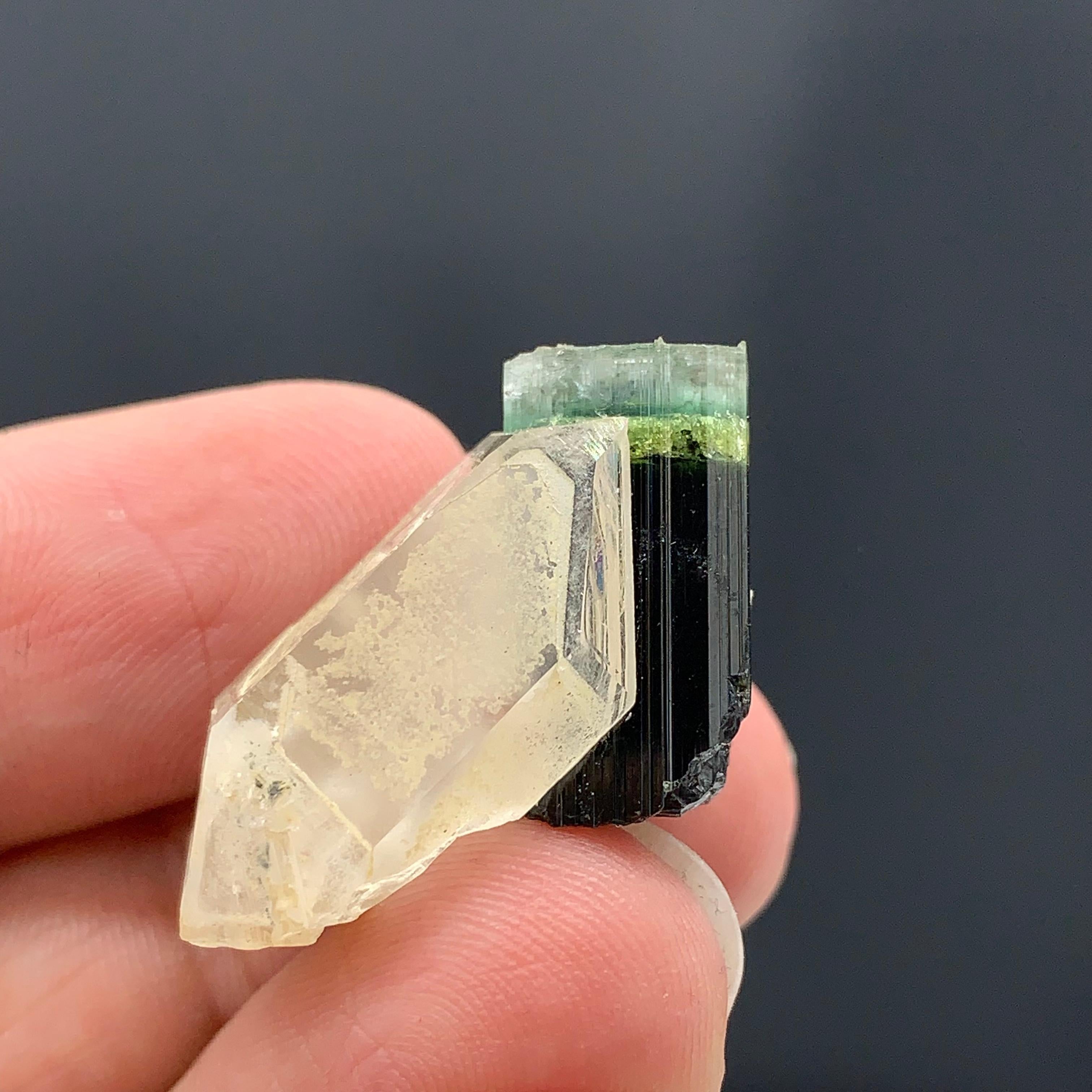 43.15 Cts Beautiful Tri Color Tourmaline Specimen with Quartz From Afghanistan  In Good Condition For Sale In Peshawar, PK