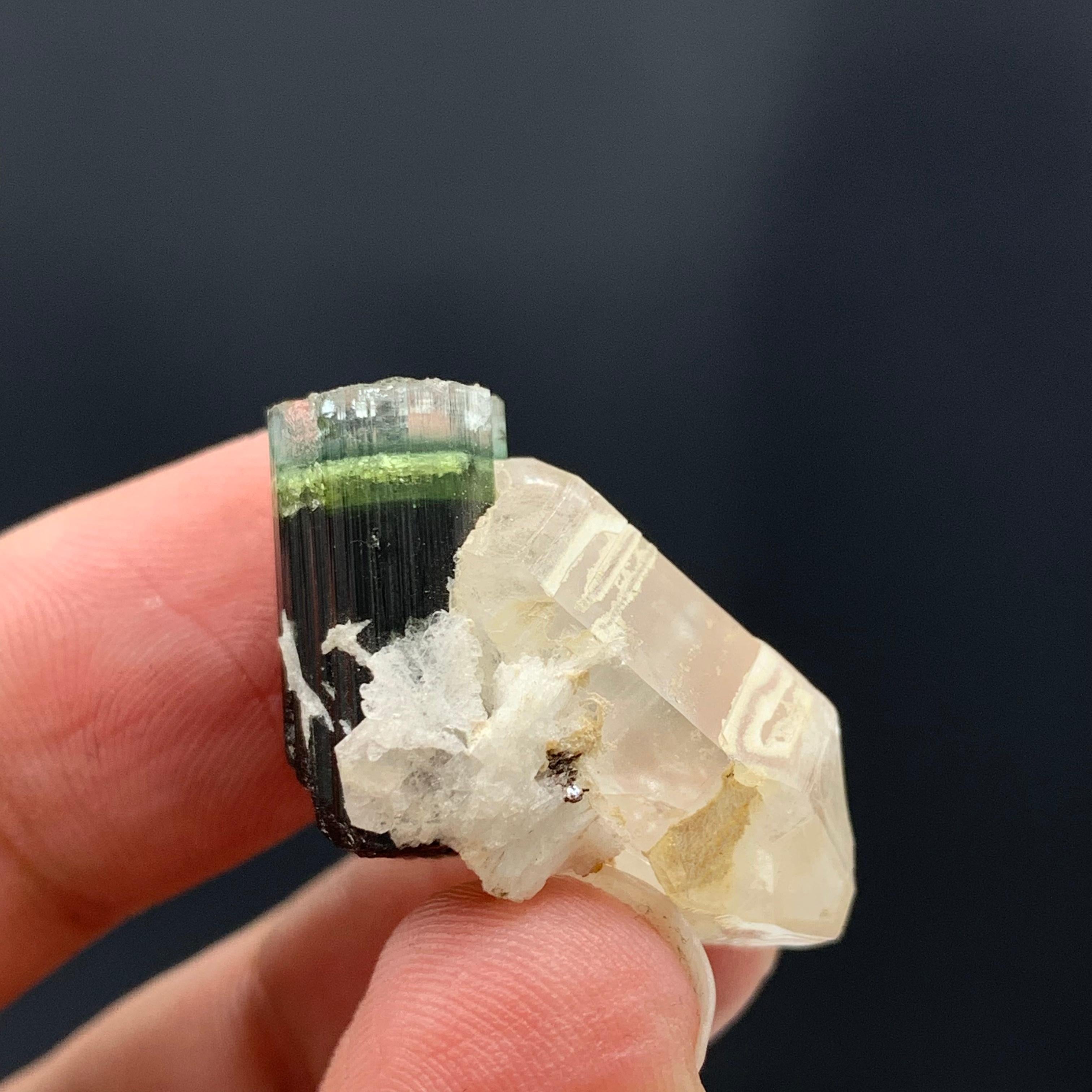 Cristallo di rocca 43,15 carati Bellissimo esemplare di tormalina tricolore con quarzo dall'Afghanistan in vendita