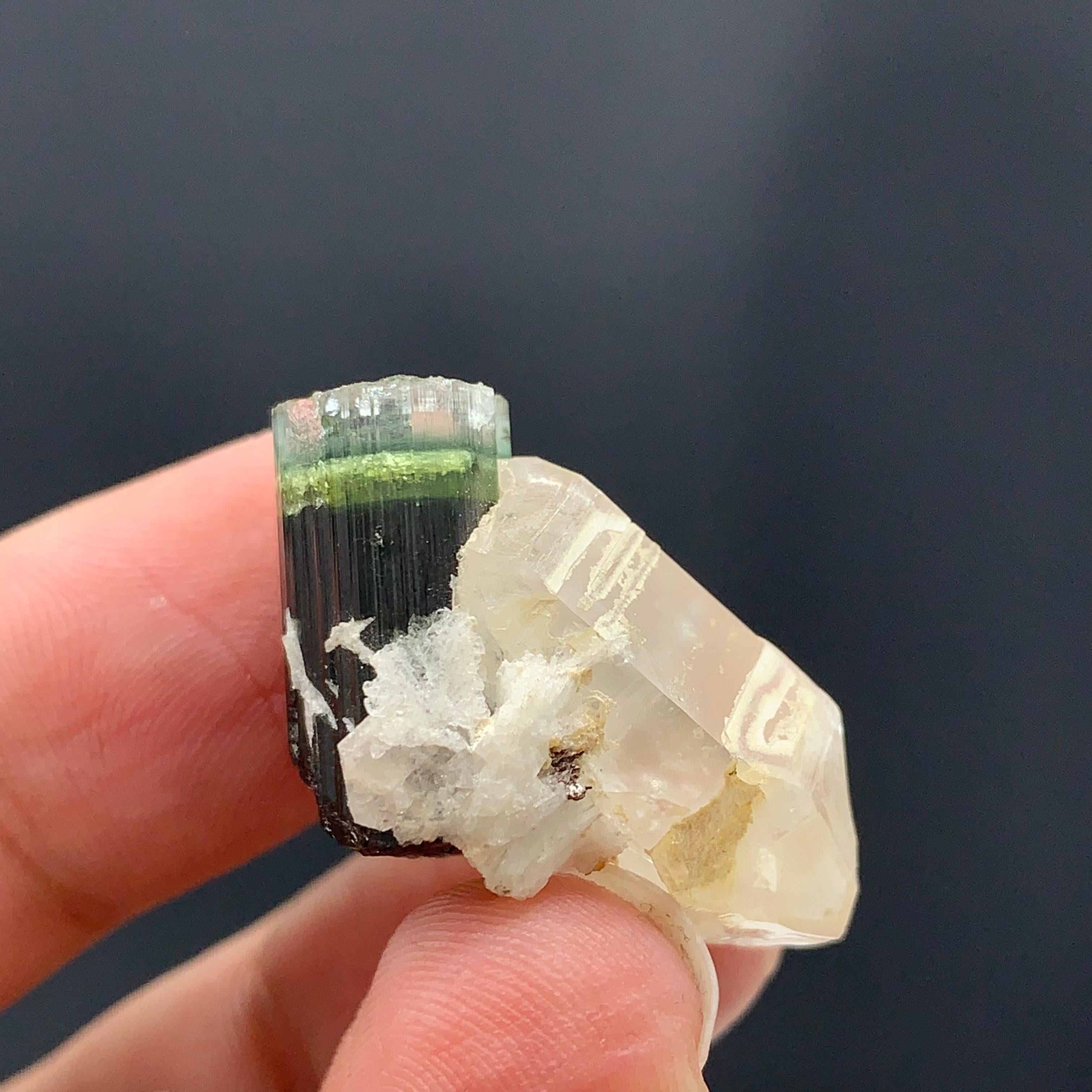43.15 Cts Beautiful Tri Color Tourmaline Specimen with Quartz From Afghanistan  For Sale 2