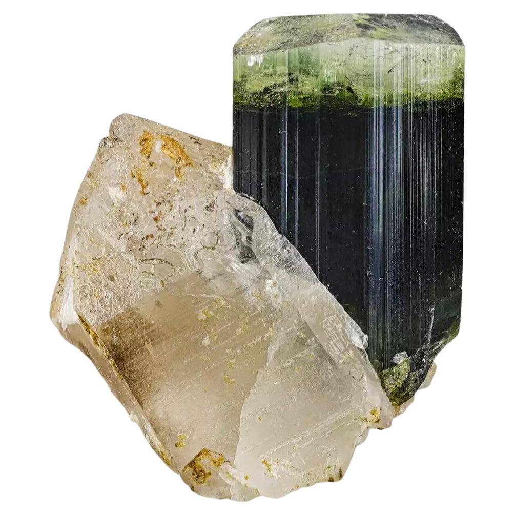 43.15 Cts Beautiful Tri Color Tourmaline Specimen with Quartz From Afghanistan  For Sale