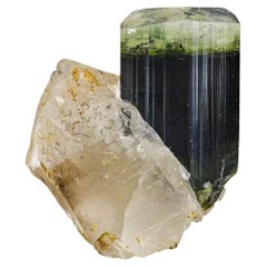 43.15 Cts Beautiful Tri Color Tourmaline Specimen with Quartz From Afghanistan 