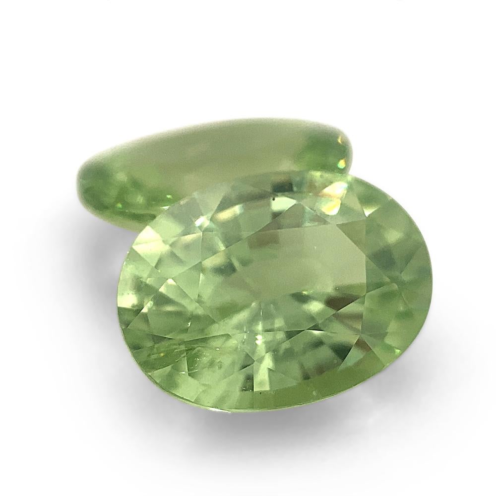 4.33ct Pair Oval Mint Green Garnet from Merelani, Tanzania For Sale 4