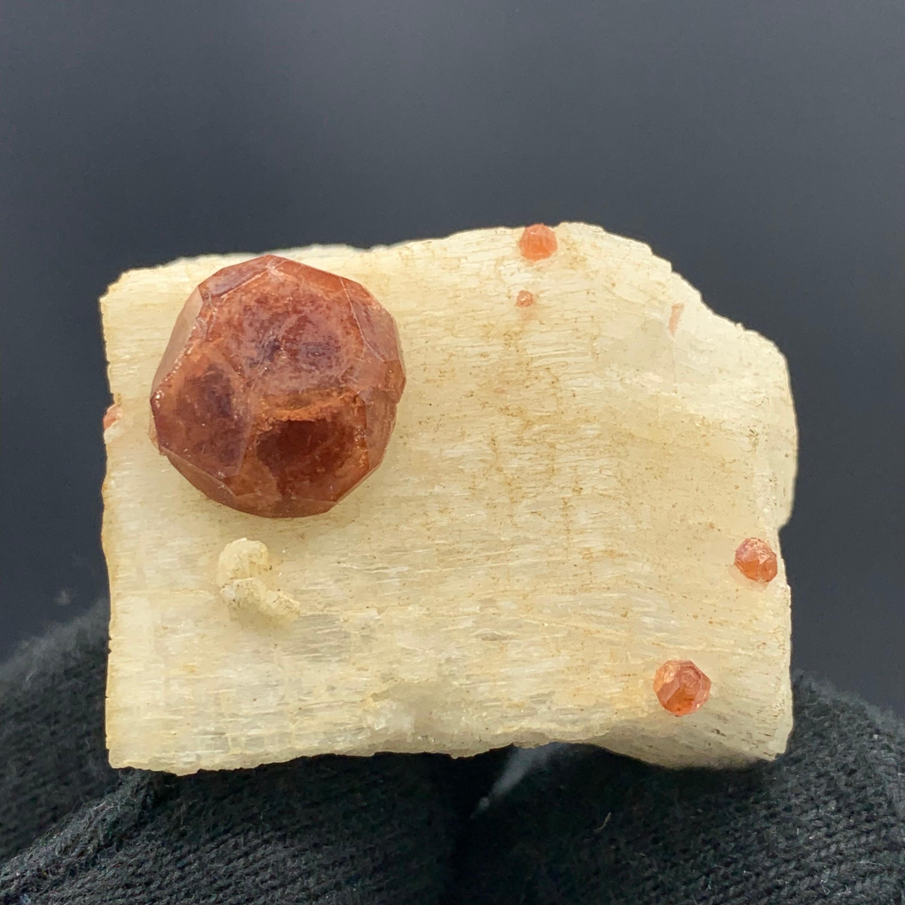43,62 grammi di granato spessartino fine con feldspato proveniente da Skardu, Pakistan 

Peso: 43,62 grammi
Dimensioni: 2,6 x 3,9 x 3 cm
Origine: Distretto di Skardu, provincia di Gilgit Baltistan, Pakistan

La spessartina è una specie di granato