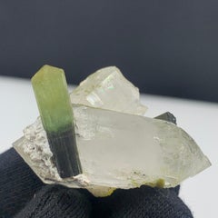 43.71 Gram Stunning Dual Bi Color Tourmaline on Specimen from Afghanistan