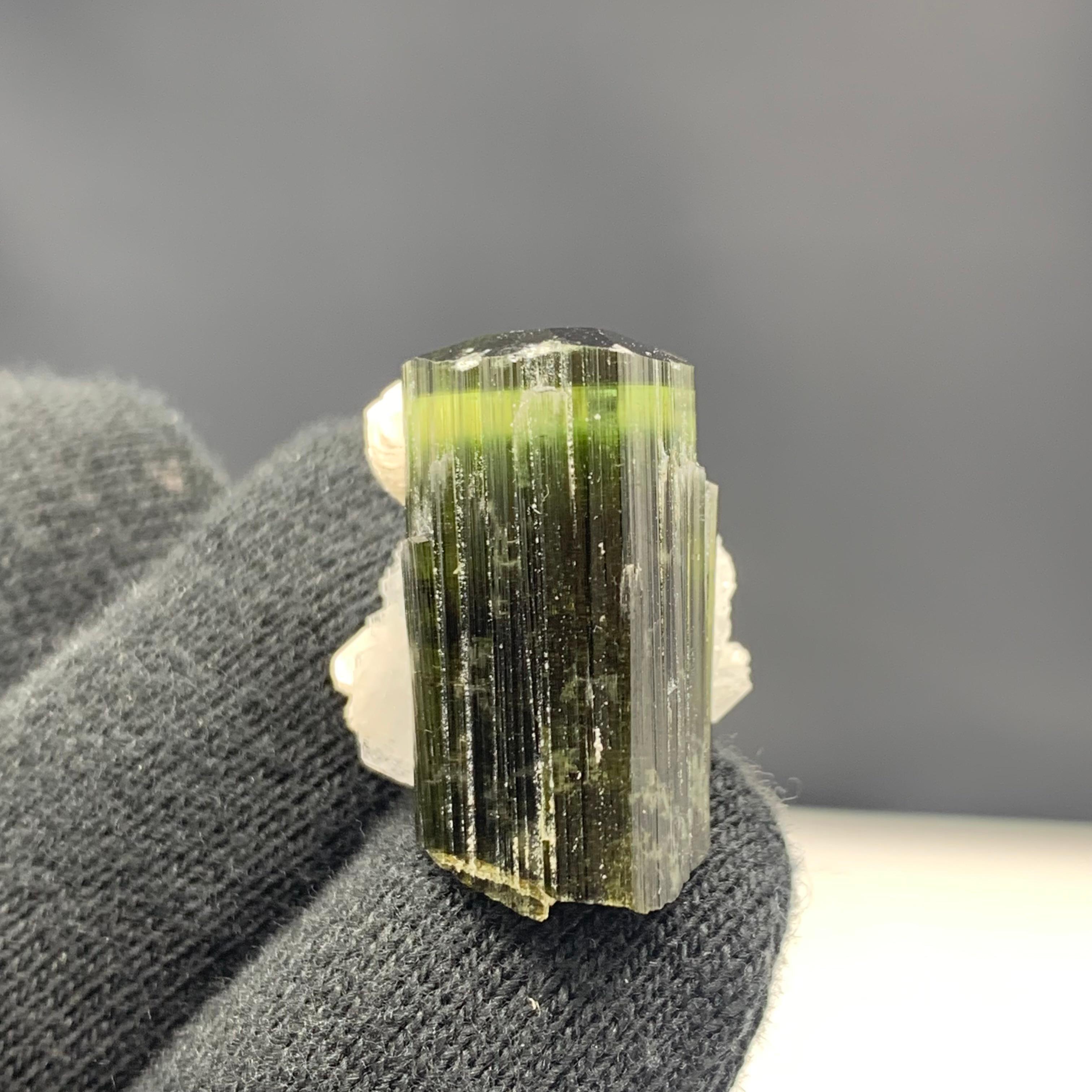 43.85 Carat Gorgeous Tourmaline Specimen With Albite From Skardu, Pakistan 

Weight: 43.85 Carat 
Dimension: 2.3 x 1.7 x 2.2 Cm 
Origin: Skardu Valley, Pakistan 

Tourmaline is a crystalline silicate mineral group in which boron is compounded with