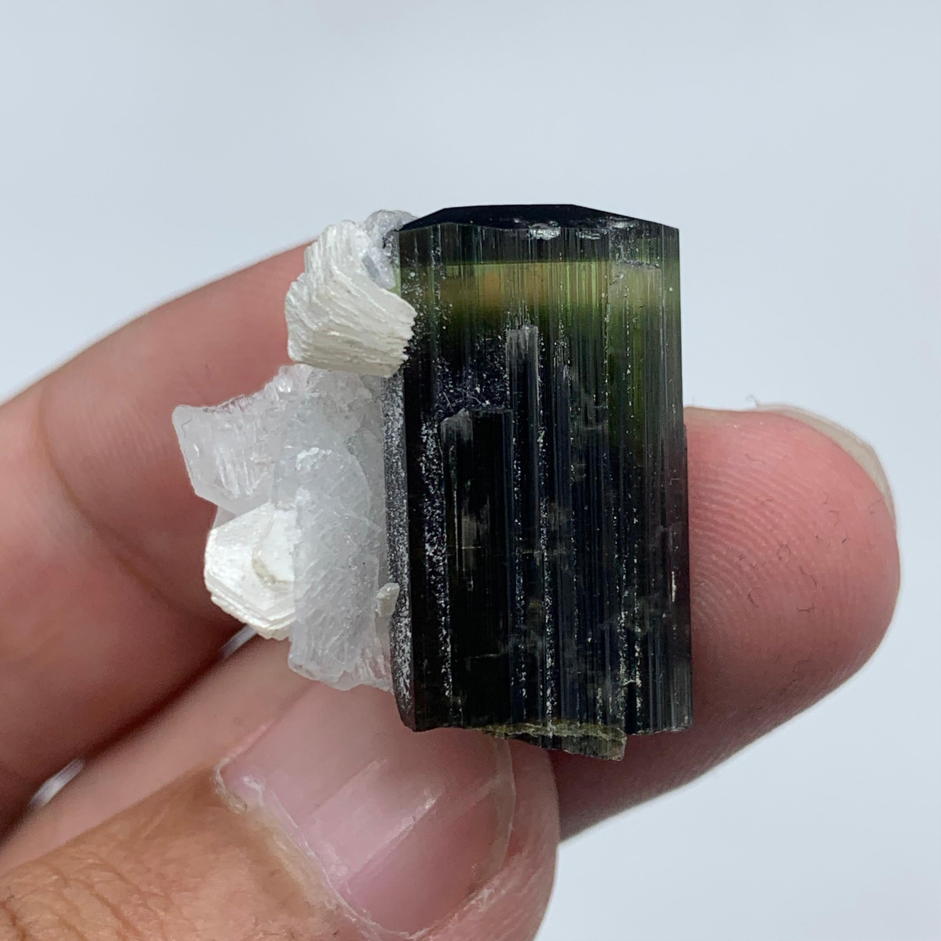 18th Century and Earlier 43.85 Carat Gorgeous Tourmaline Specimen With Albite From Skardu, Pakistan  For Sale