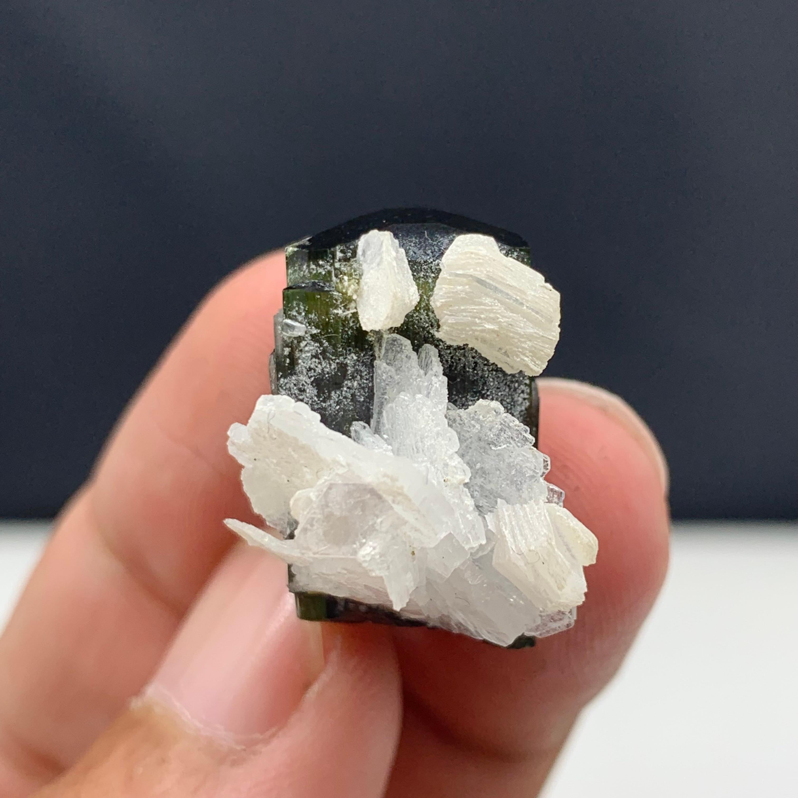 Rock Crystal 43.85 Carat Gorgeous Tourmaline Specimen With Albite From Skardu, Pakistan  For Sale