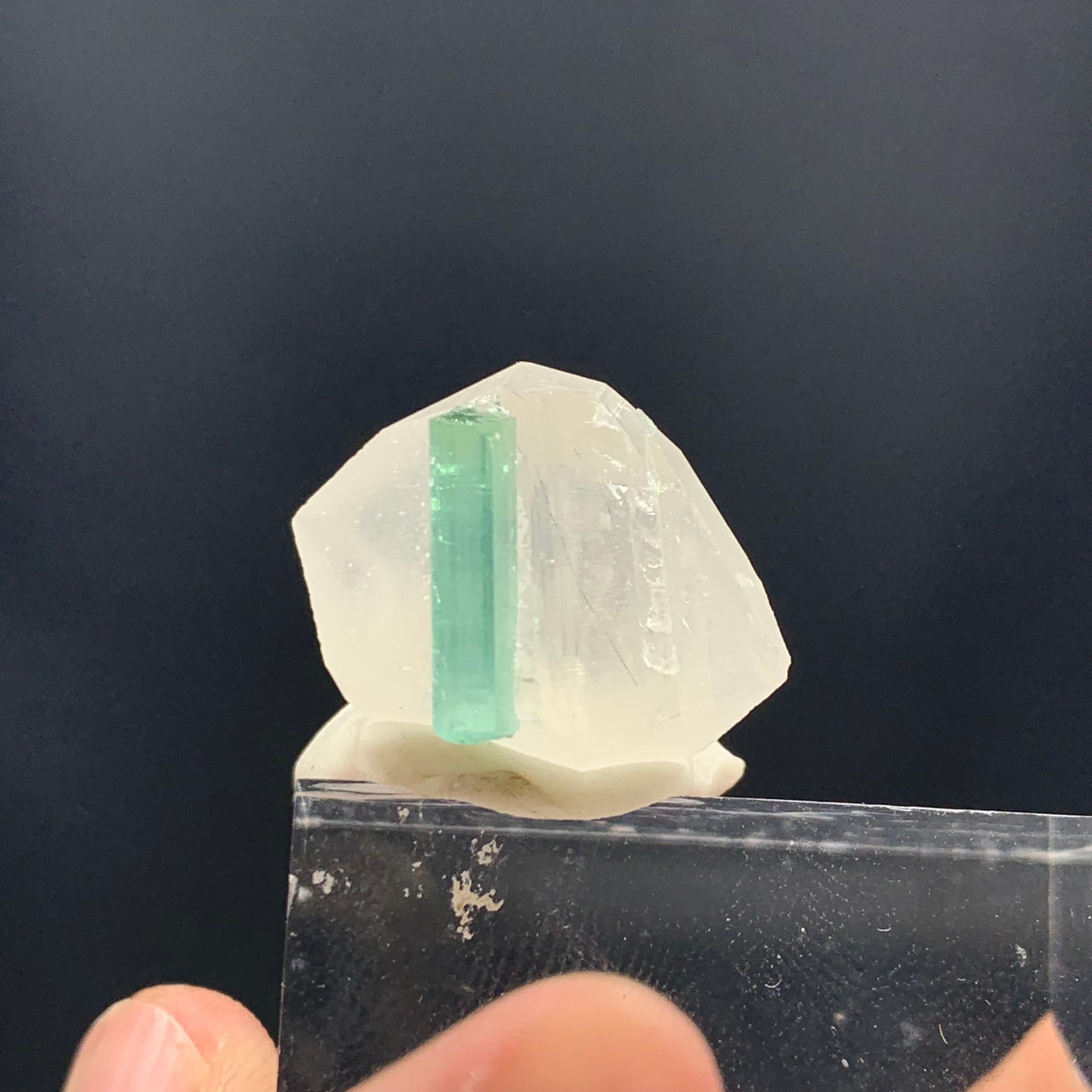 4.40 Gram Gorgeous Tourmaline Specimen With Quartz From Kunar, Afghanistan 

Weight: 4.40 Gram
Dimension: 1.8 x 2.2 x 1.3 Cm
Origin: kunar, Afghanistan

Tourmaline is a crystalline silicate mineral group in which boron is compounded with elements