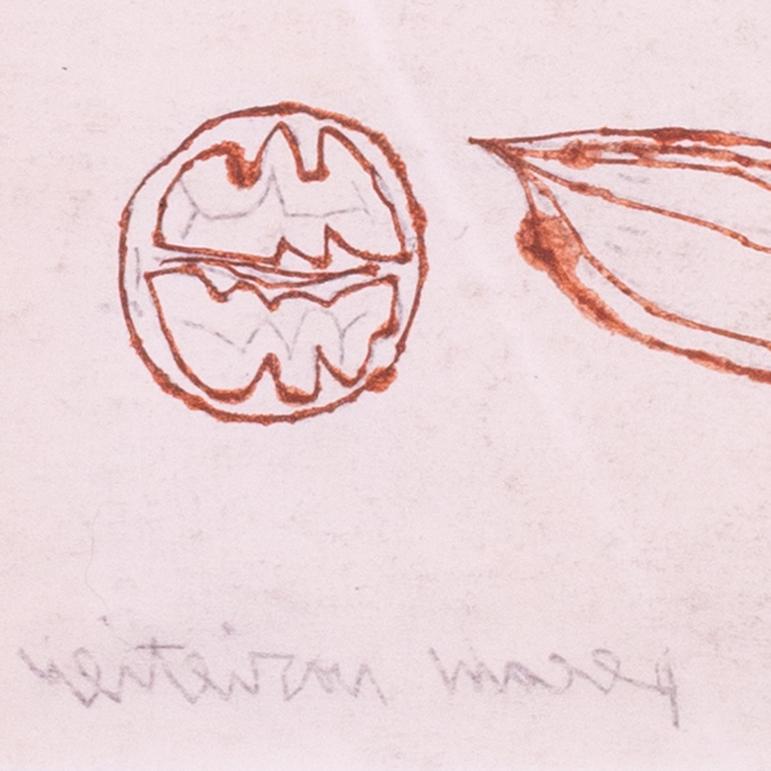 Andy Warhols Original-Offsetzeichnung mit der Aufschrift 