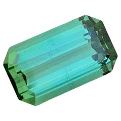 4.45 Carats Incredible Natural Loose Emerald Shape Mint Lagoon Tourmaline 