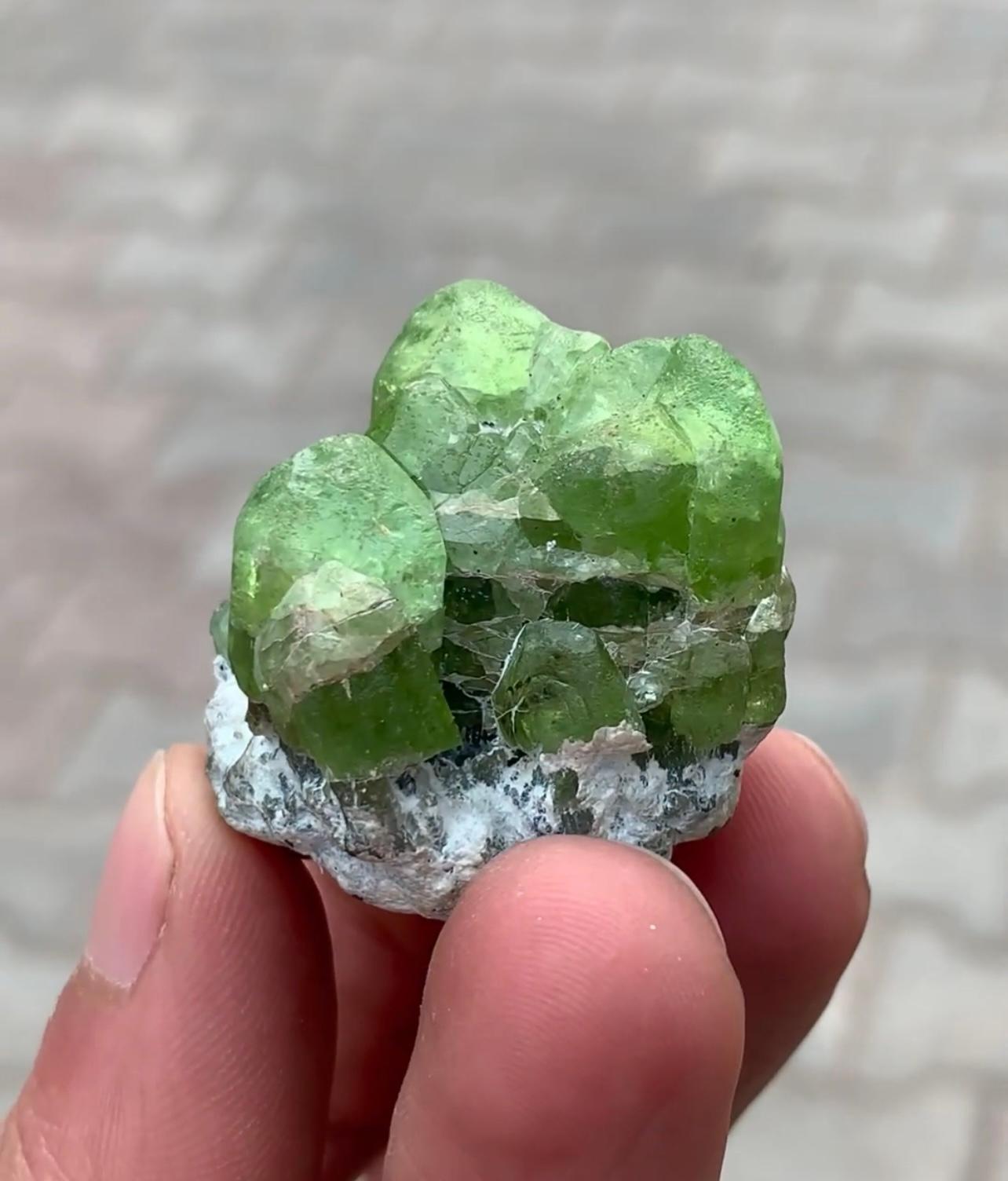 Product Information:

Specimen Type: Peridot on Matrix

Weight: 45 grams

Dimensions: H: 3.5 x W: 3.4 x D: 3.4 cm

Origin: Sapat Valley, Mansehra District, KPK Province, Pakistan

Treatment: None

Description: 

Nestled amidst the rugged beauty of