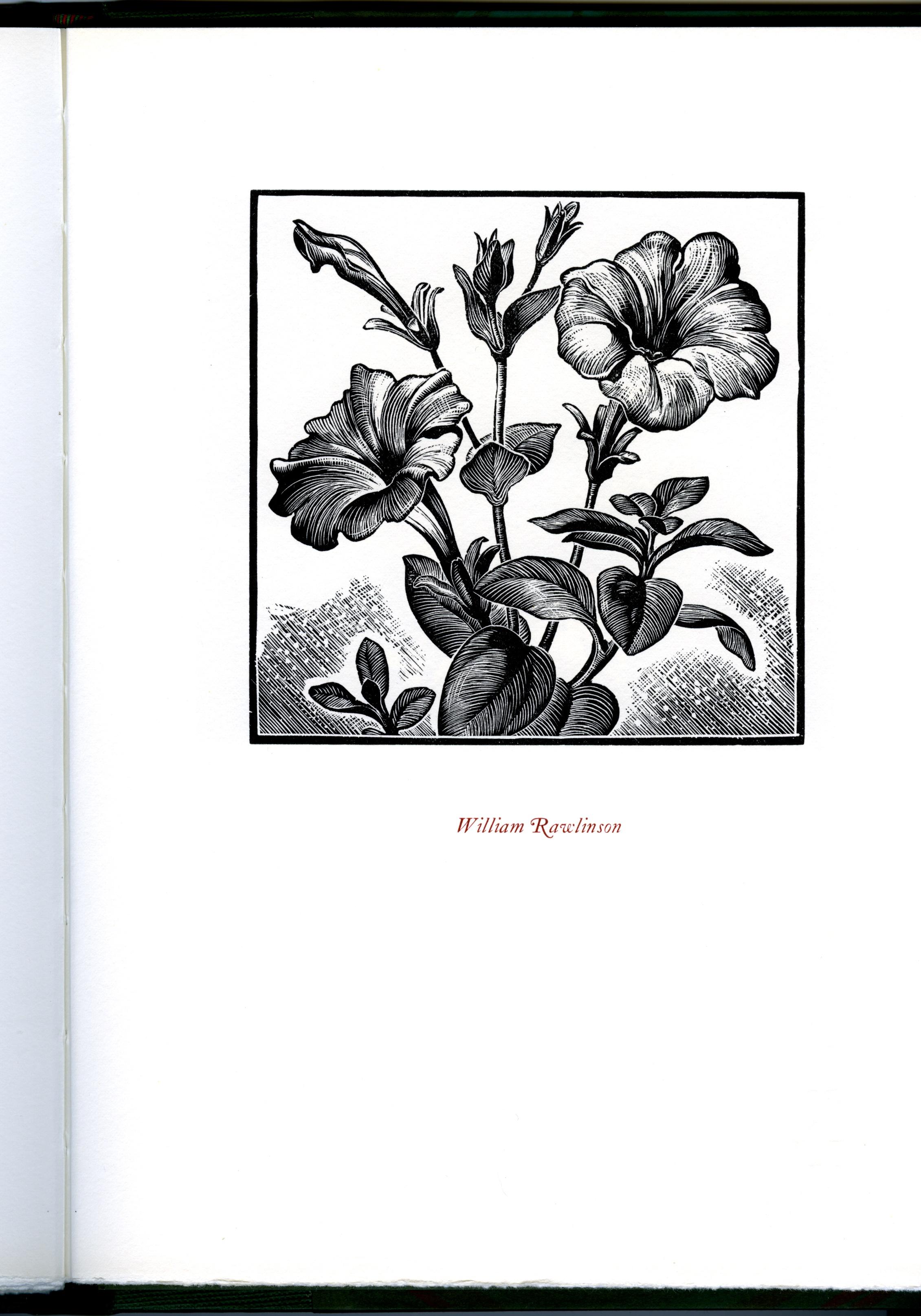45 wood-engravers – WHITTINGTON PRESS For Sale 5