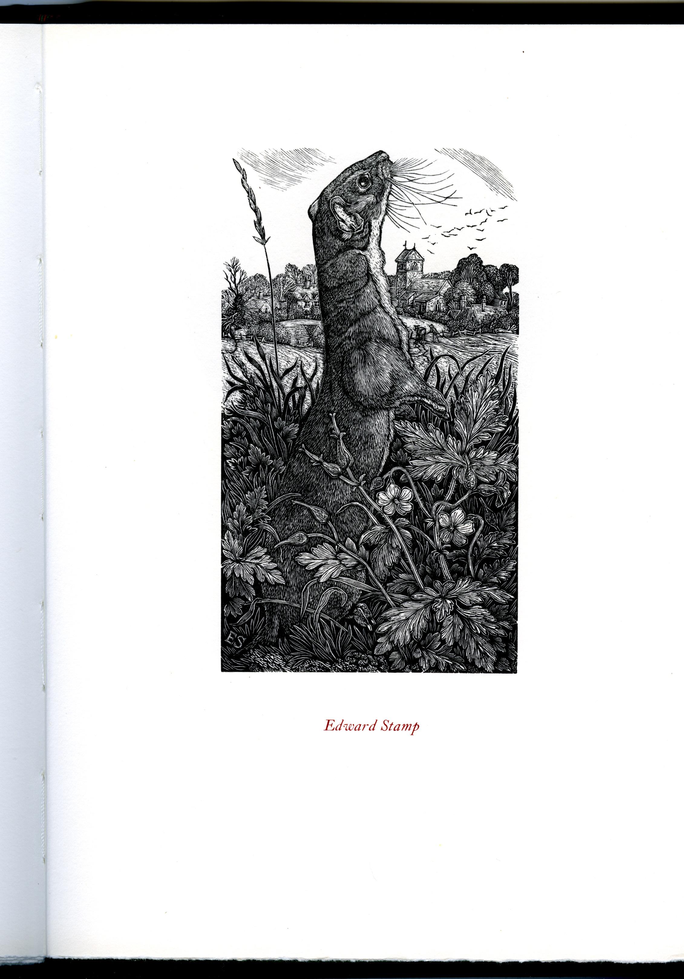 45 wood-engravers – WHITTINGTON PRESS For Sale 6