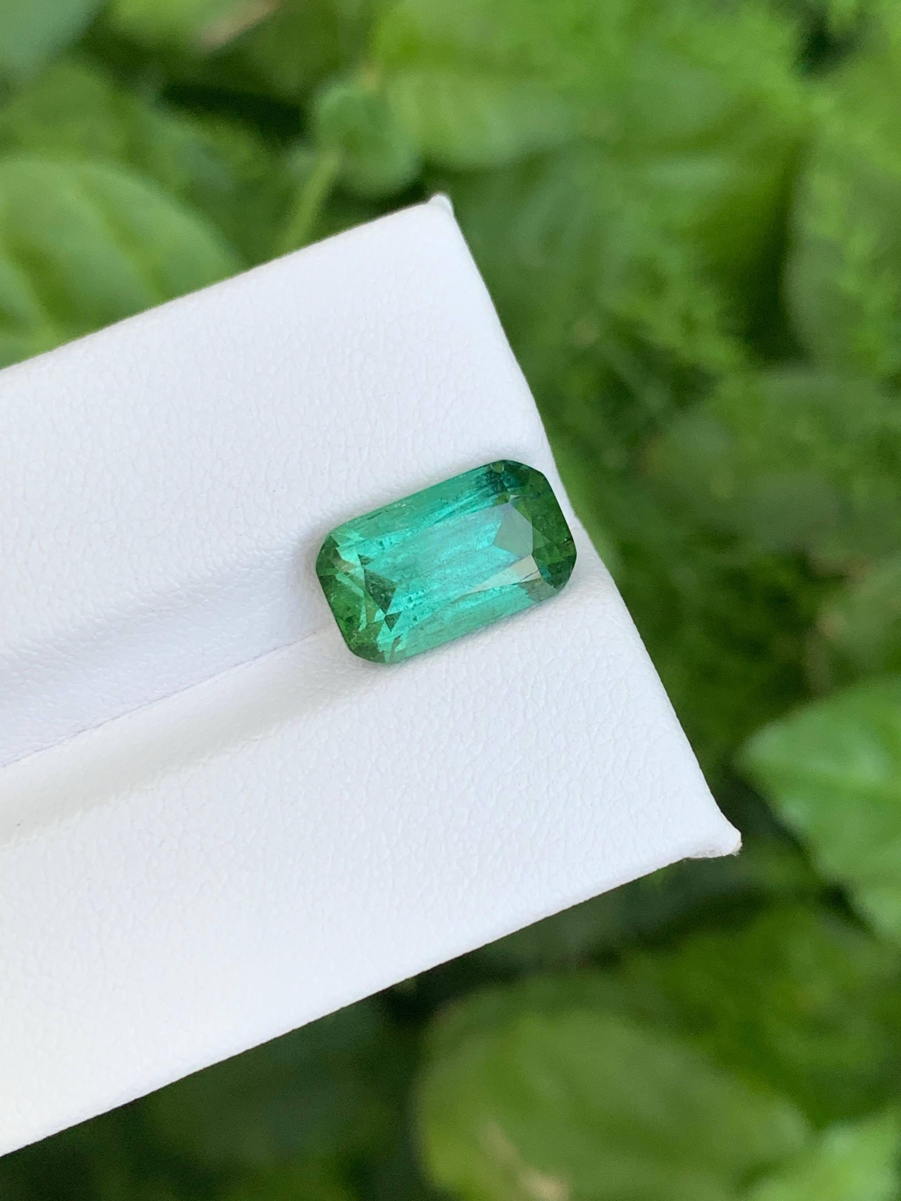 4.50 Carat Natural Loose Mint Green Tourmaline Stone Cushion Cut Afghan Gemstone (pierre précieuse afghane) en vente 4