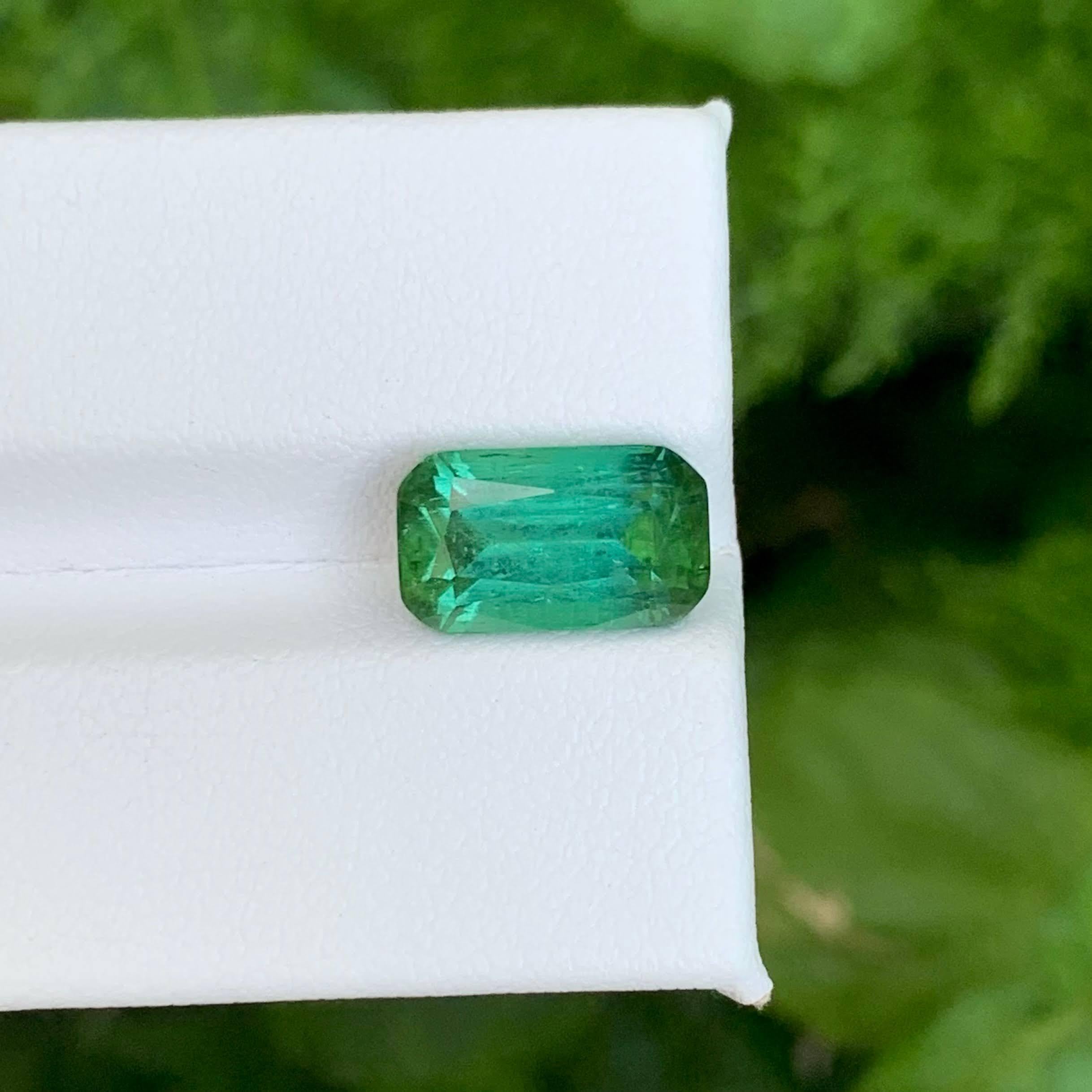 Poids 4,50 carats 
Dimensions 11.8x7.0x6.3mm
Traitement Aucun 
Origine afghane 
Clarity SI
Forme Coupe Coussin 





Cette tourmaline vert menthe naturelle en vrac de 4,50 carats est une pierre précieuse remarquable provenant des mines renommées