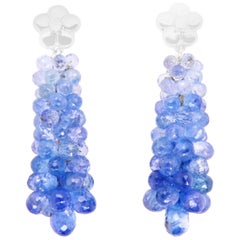 45.20 Carat Ombre Blue Iolite Briolette Grape Flower Earrings 14 Karat Gold