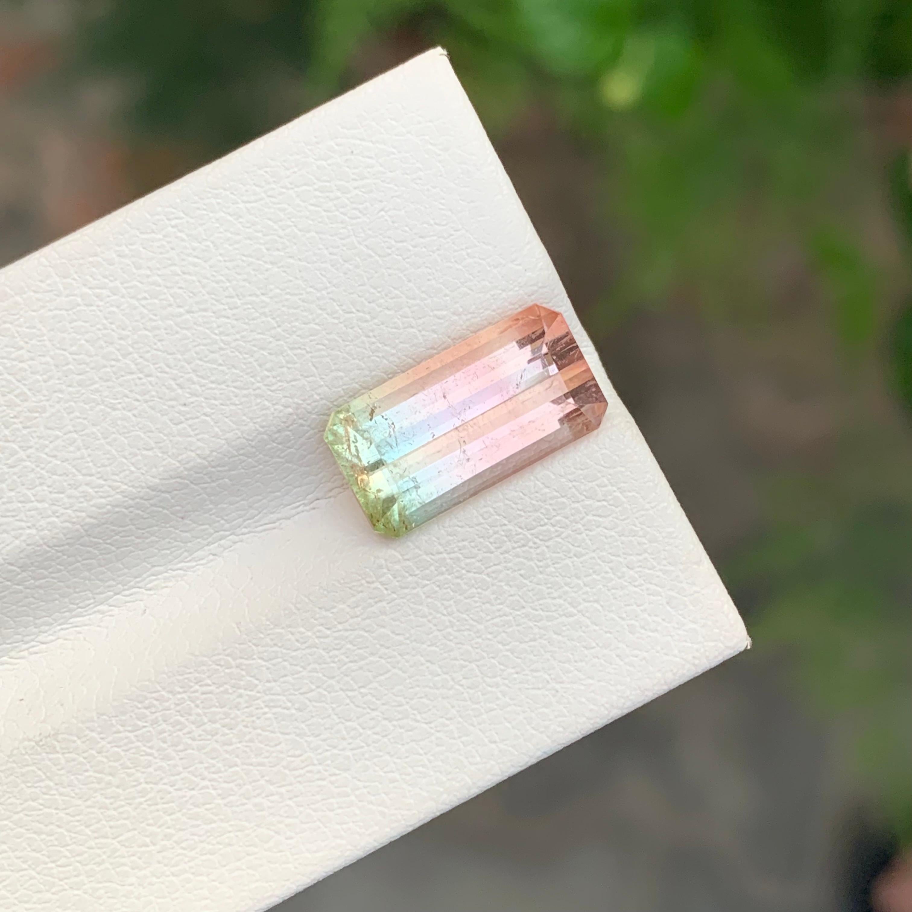 Loser zweifarbiger Turmalin 

Gewicht: 4,55 Karat
Abmessung: 13.4 x 7.1 x 5.3 Mm 
Herkunft: Afghanistan
Zertifikat: Auf Anfrage
Behandlung: Nicht
Die Form: Smaragd 
Farbe: Rosa und Mintgrün 


Der Turmalin ist ein faszinierender Edelstein, der für