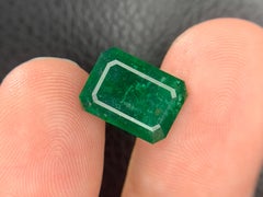 4.55 Karat natürlicher loser Smaragd-Edelstein aus dem Swat-Tal, Pakistan