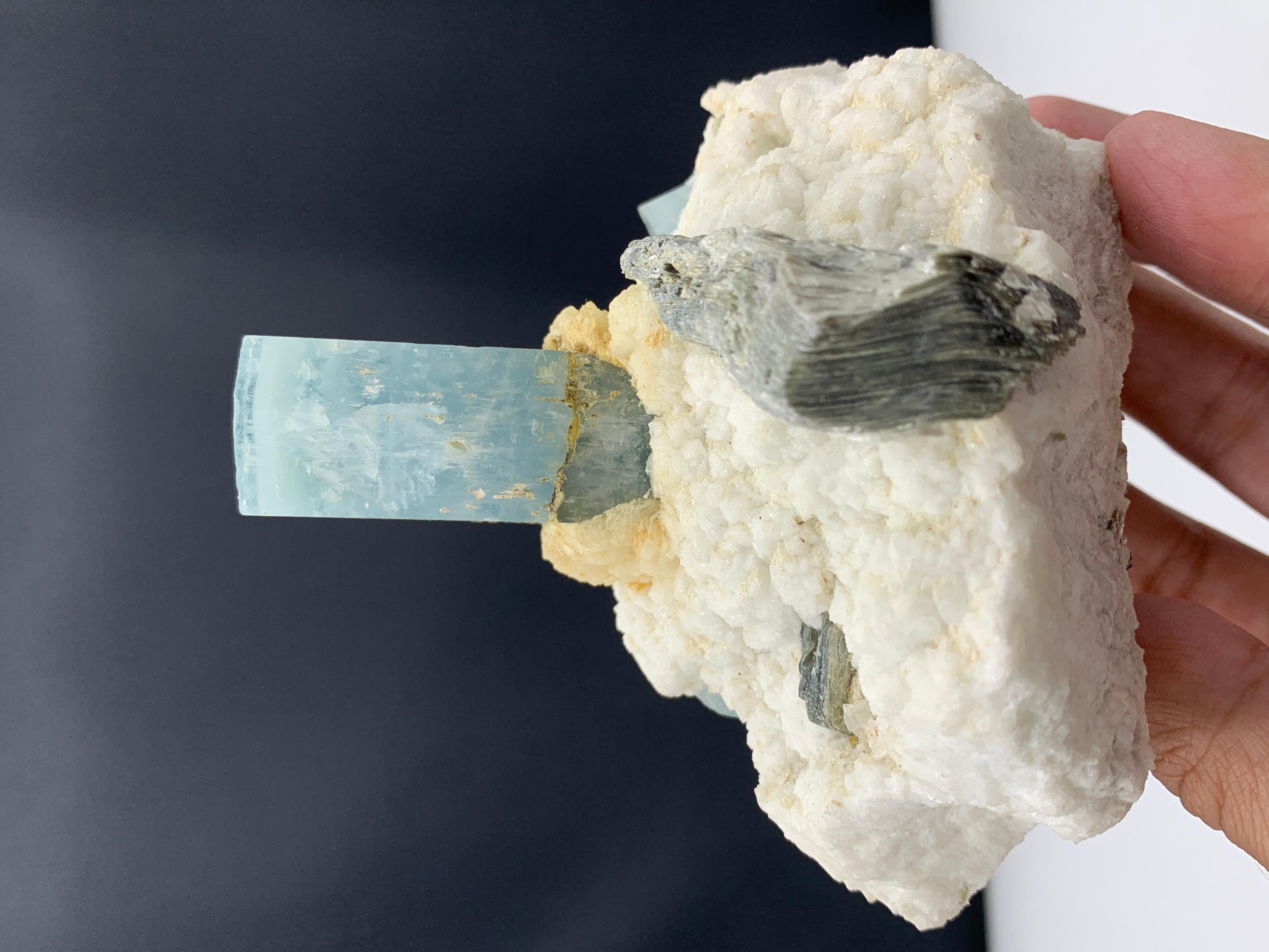 457,93 Grammi Splendido esemplare di acquamarina allungata proveniente dall'Afghanistan in vendita 10