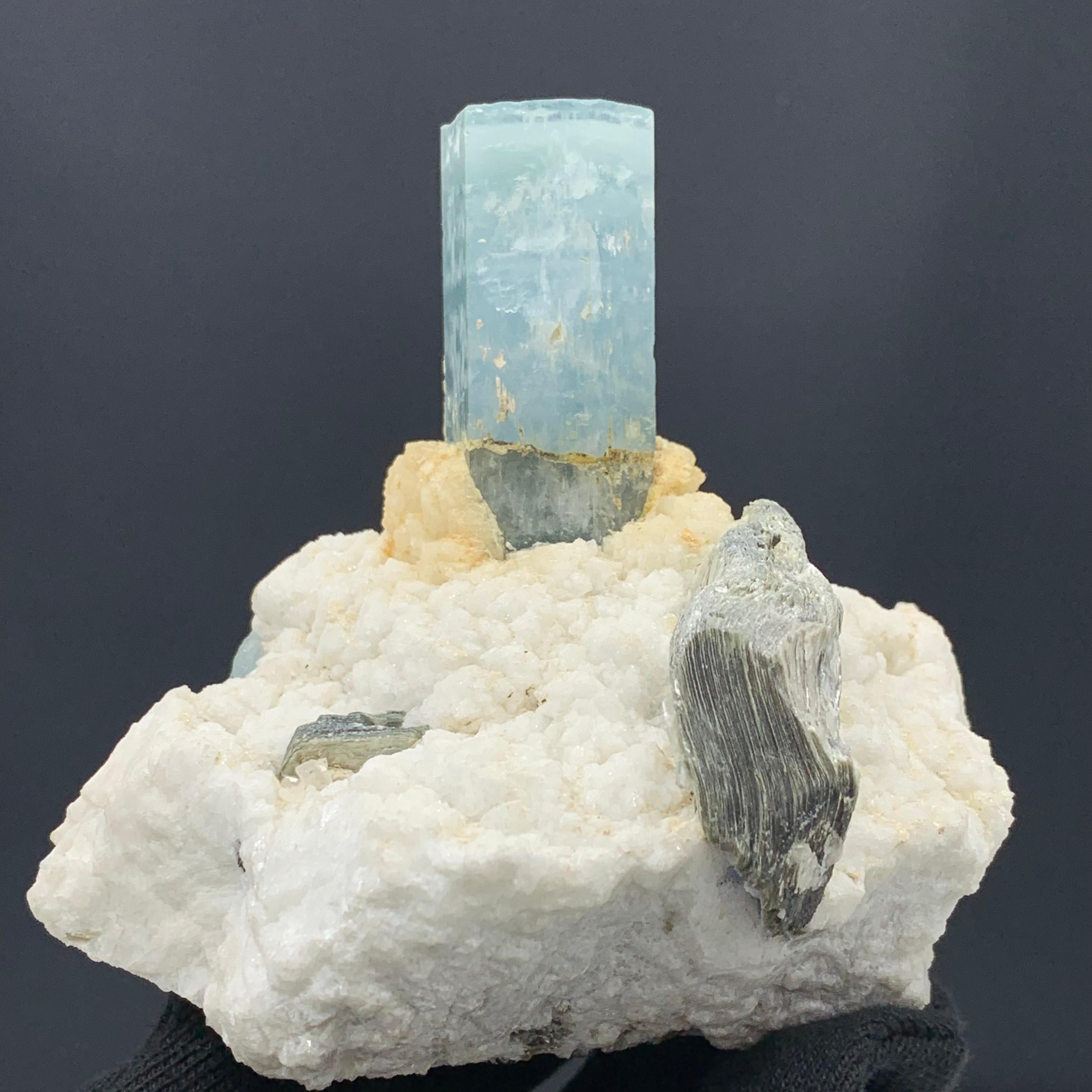 Stile Adam 457,93 Grammi Splendido esemplare di acquamarina allungata proveniente dall'Afghanistan in vendita