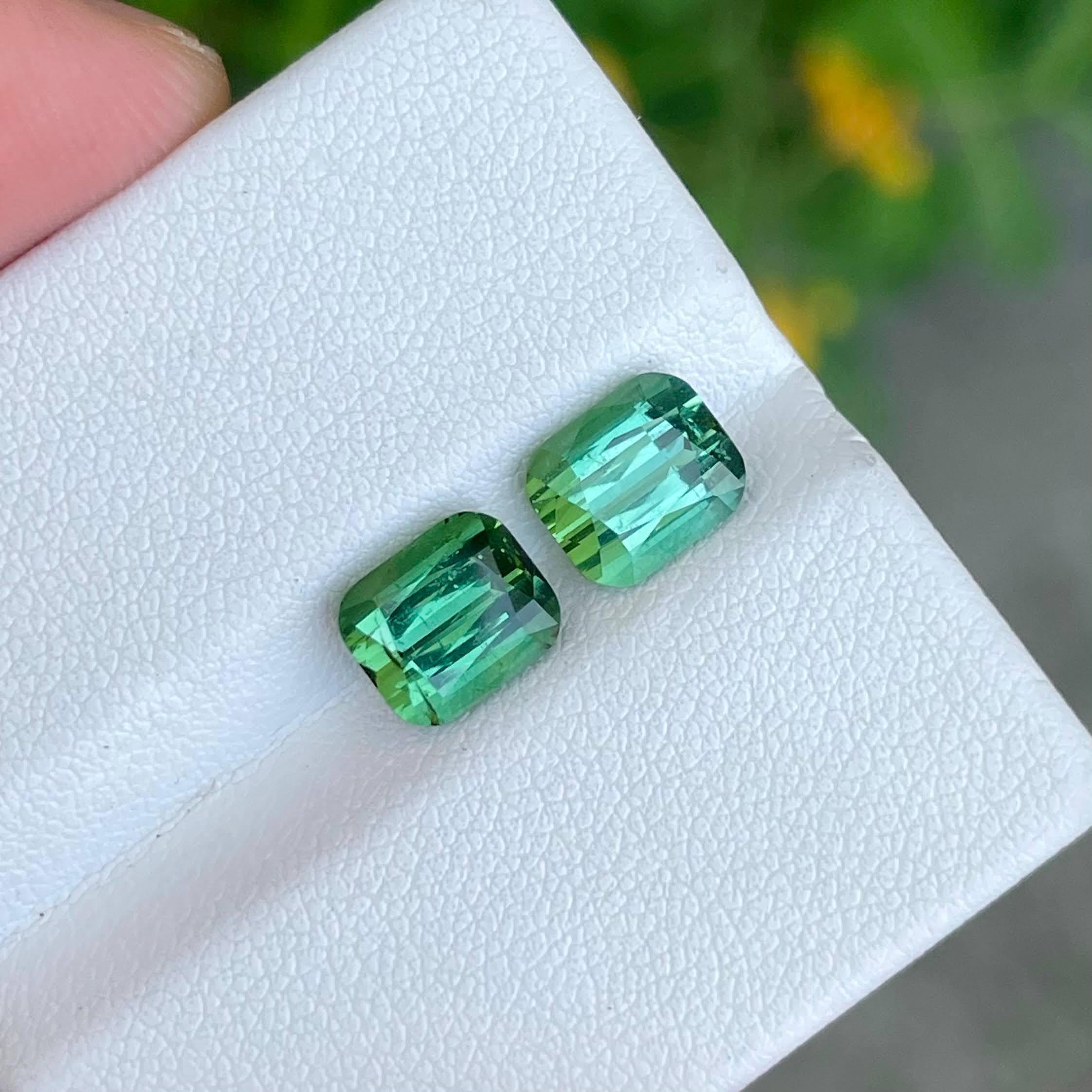 tourmaline stein