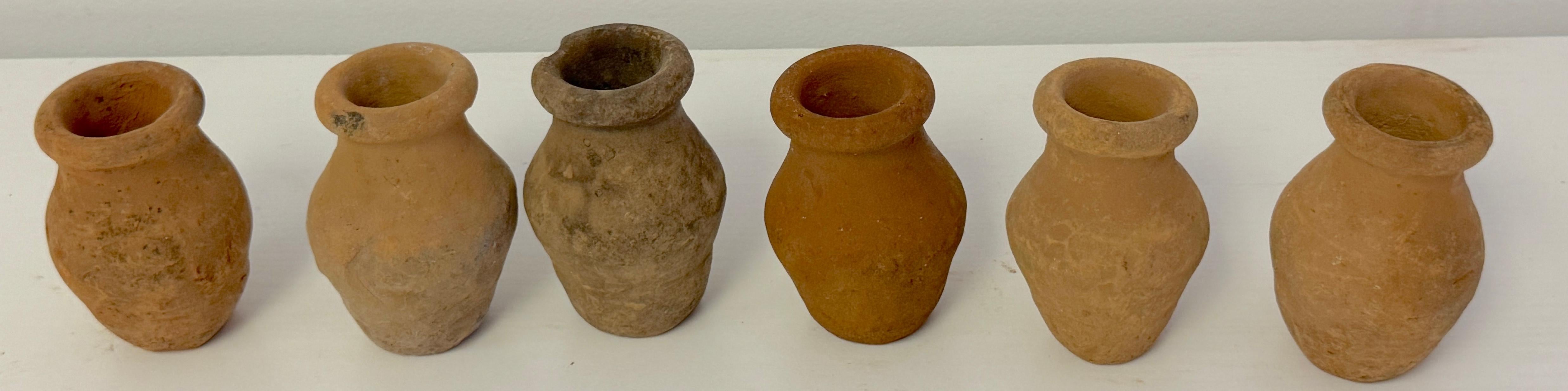 46 Piece Collection of 19th /20th C. Spanish Colonial Tinajas/ Vases For Sale 9