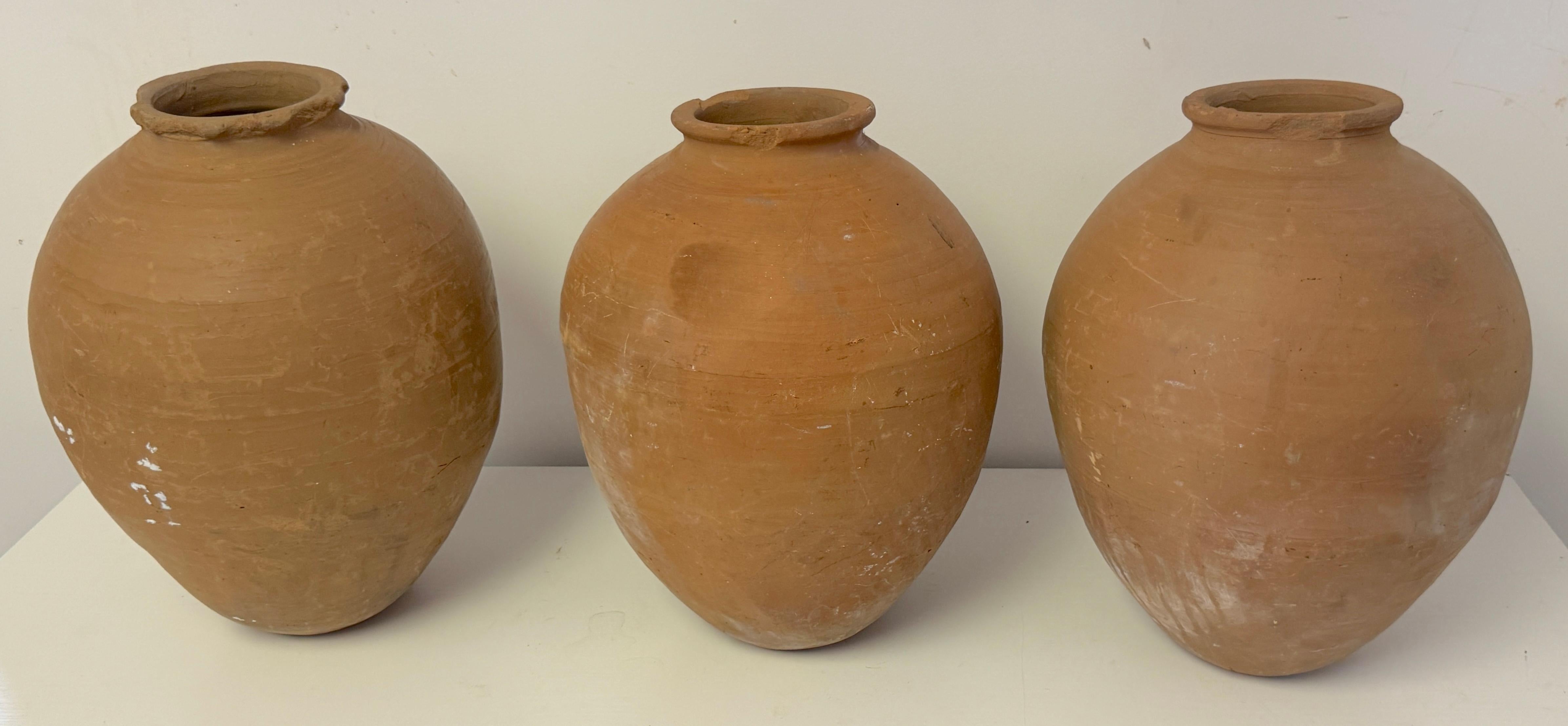 46 Piece Collection of 19th /20th C. Spanish Colonial Tinajas/ Vases For Sale 11