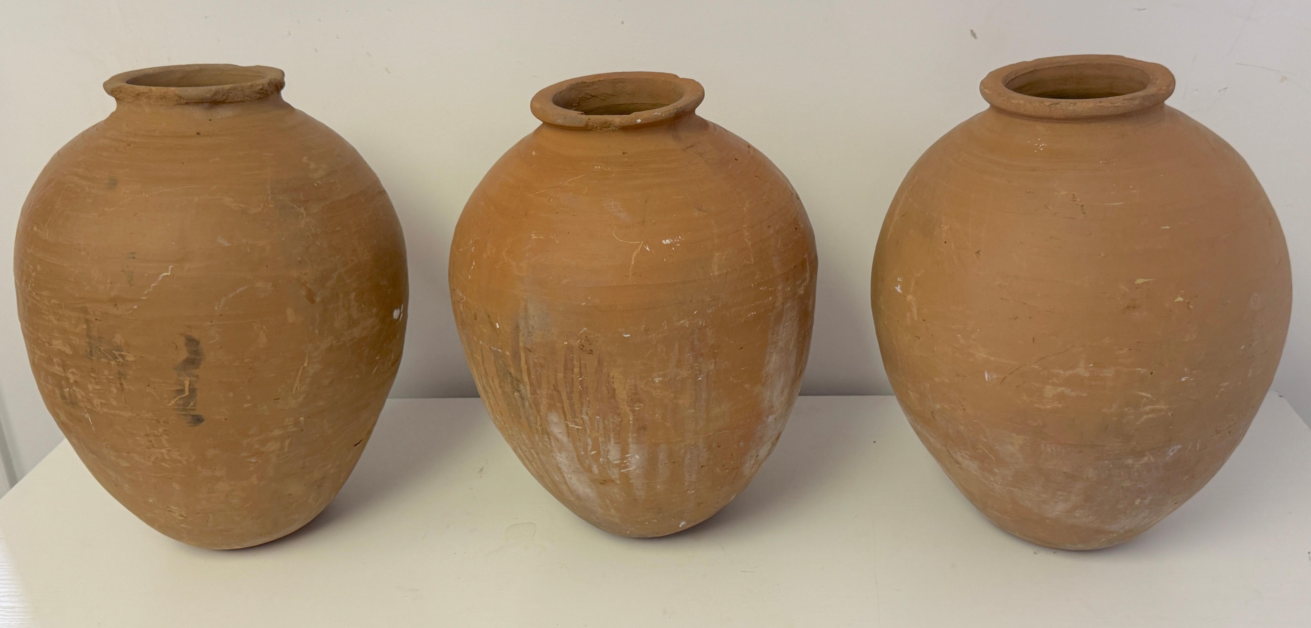 46 Piece Collection of 19th /20th C. Spanish Colonial Tinajas/ Vases For Sale 13